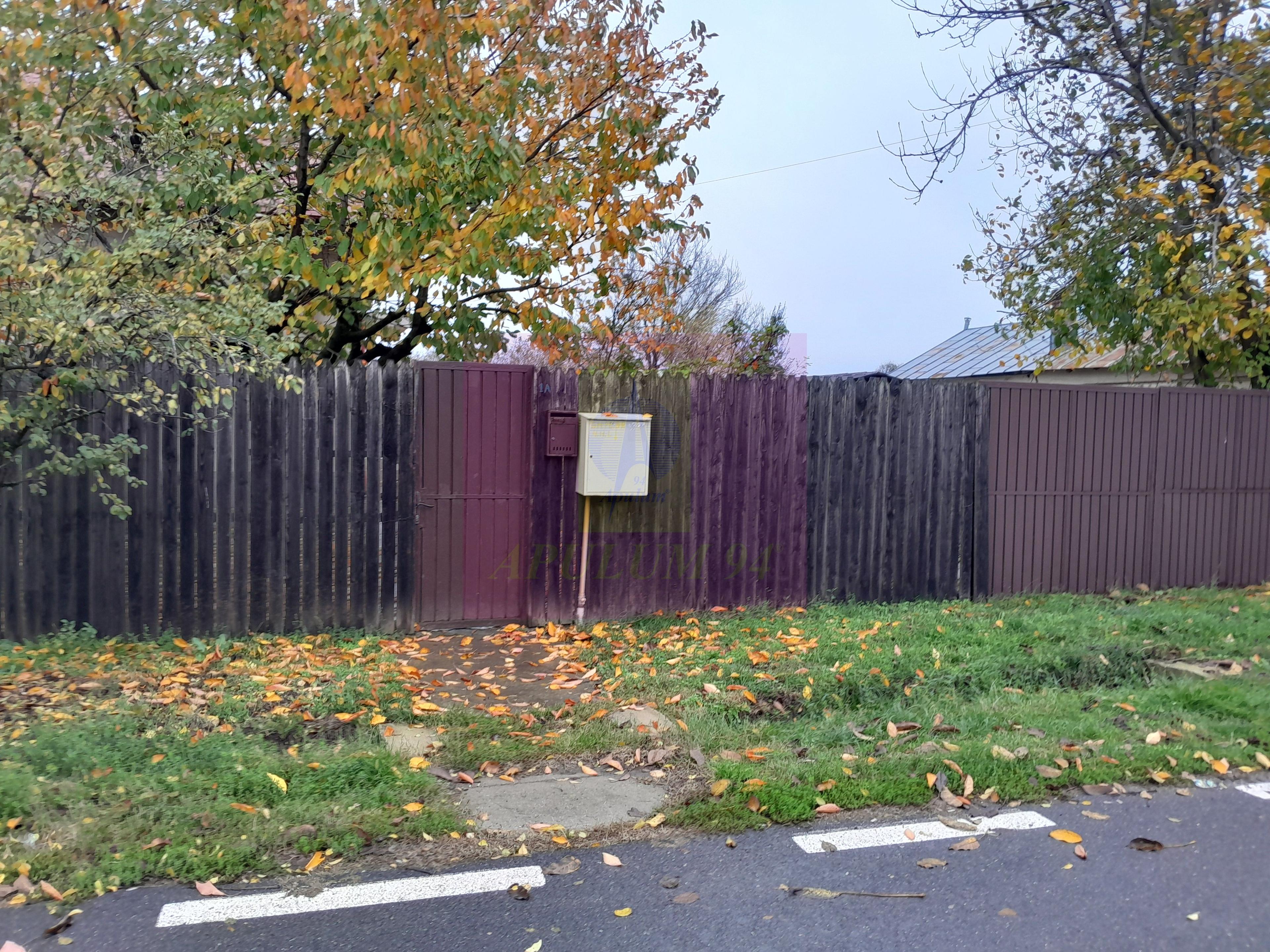 ILFOV - SE VINDE CASA IN ISLAZ / COM. BRANESTI - 50