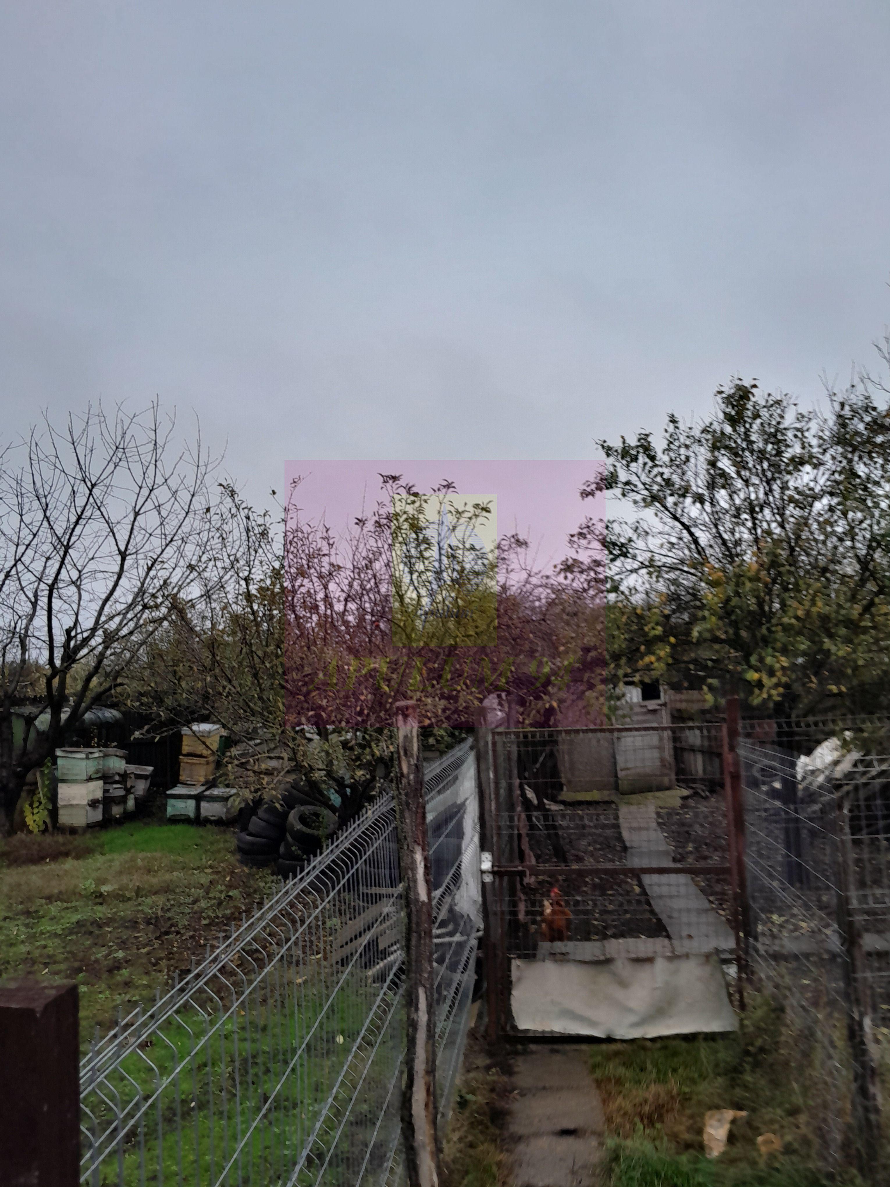 ILFOV - SE VINDE CASA IN ISLAZ / COM. BRANESTI - 41