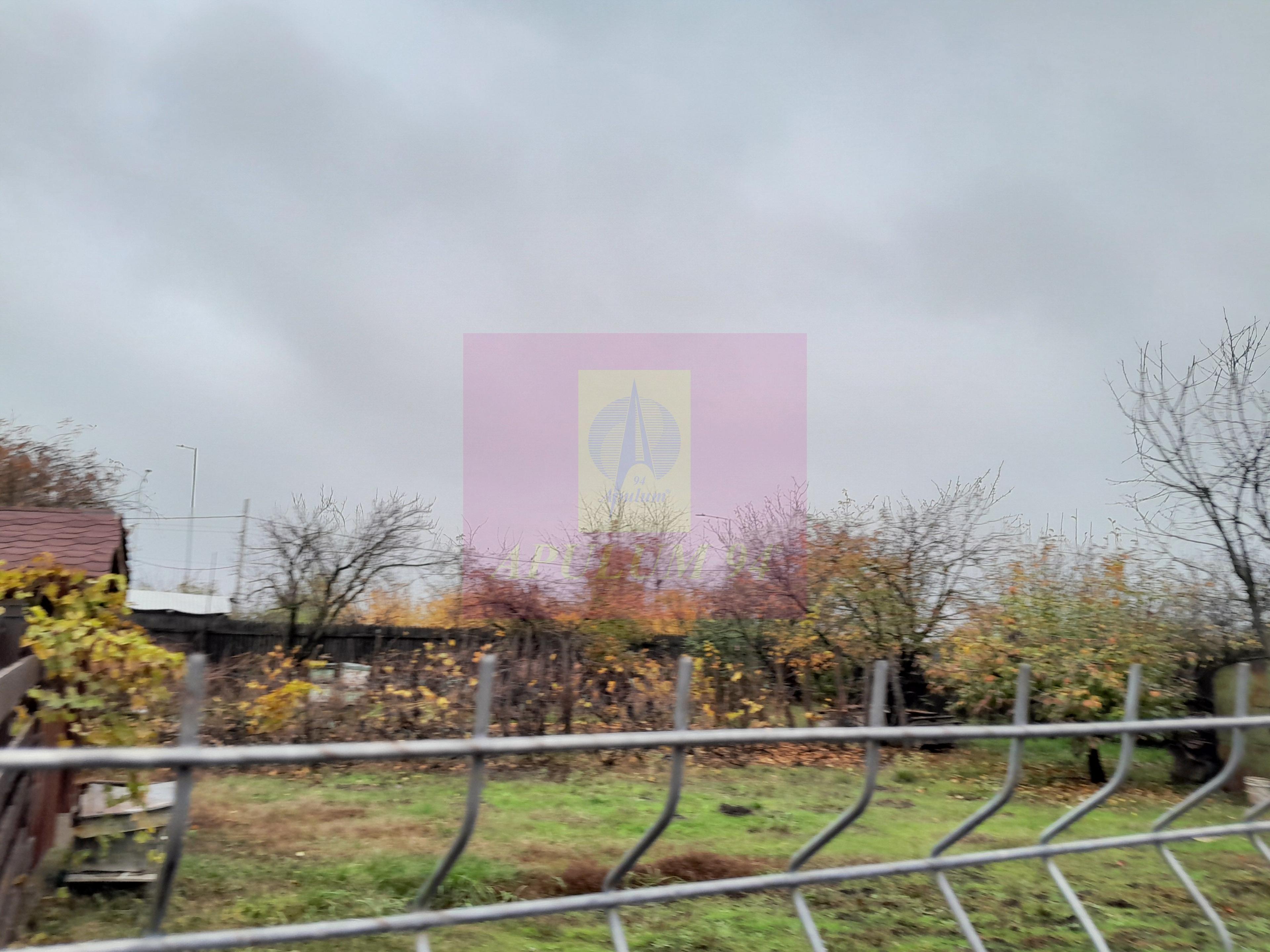 ILFOV - SE VINDE CASA IN ISLAZ / COM. BRANESTI - 32