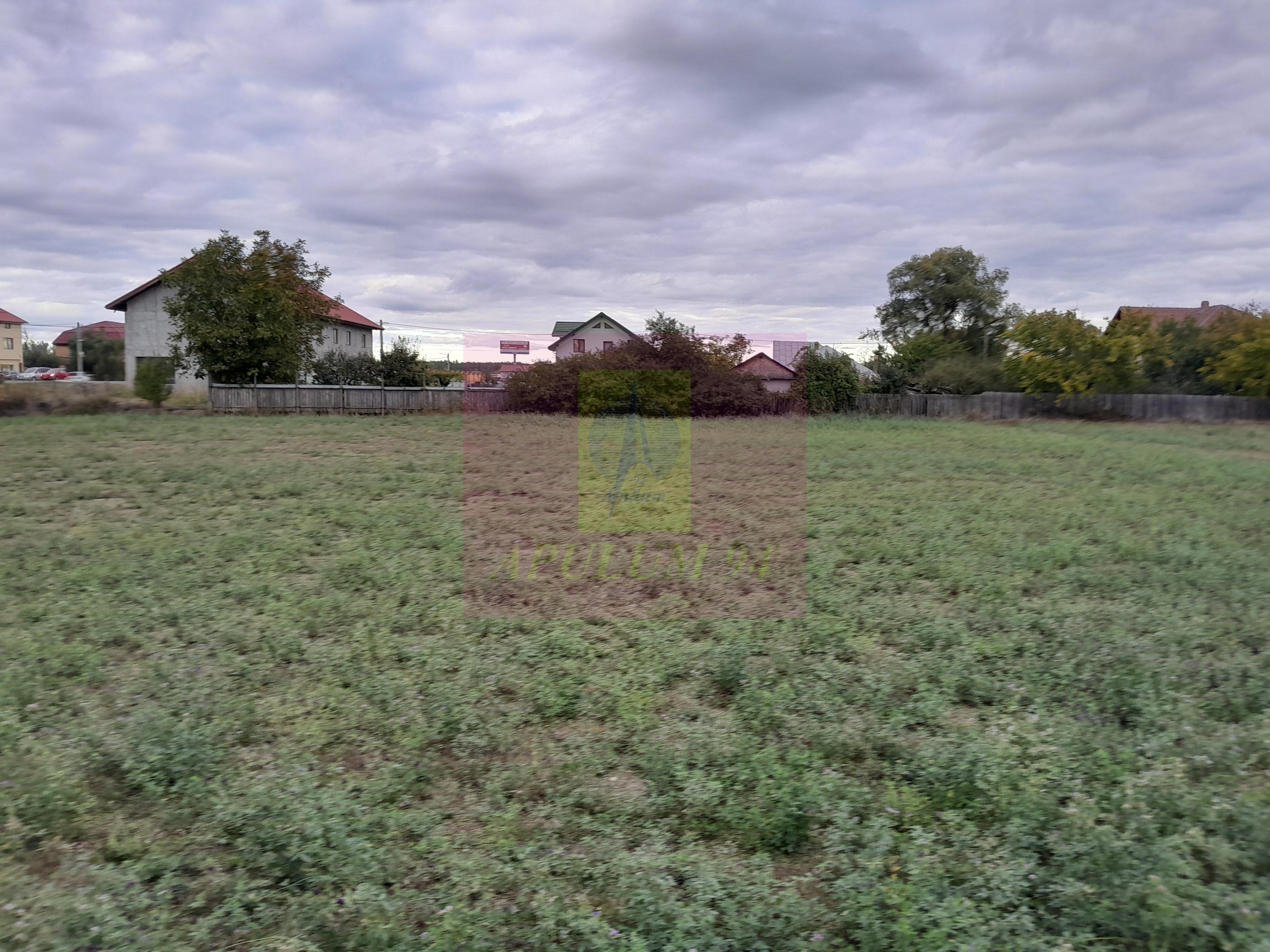 COSERENI (IL) - SE VINDE TEREN 2000 MP LA SOS BUCURESTI -URZICENI - 10
