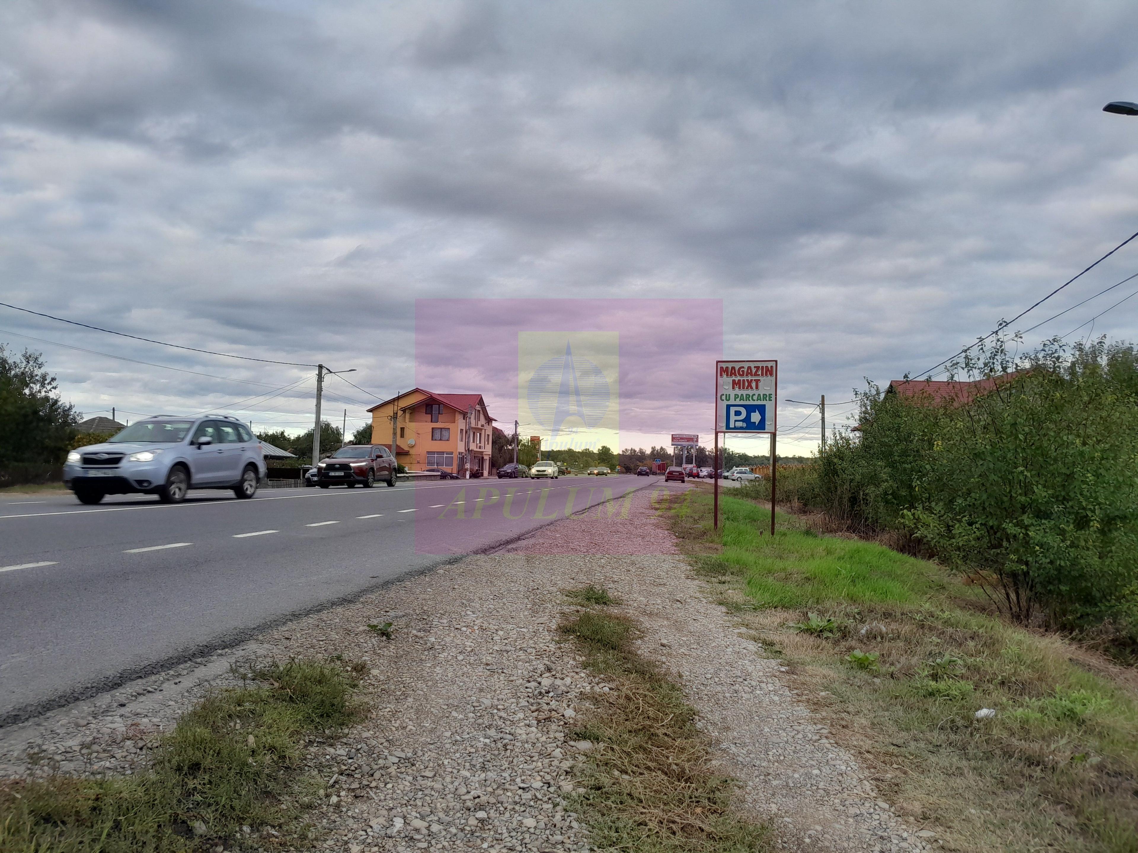 COSERENI (IL) - SE VINDE TEREN 2000 MP LA SOS BUCURESTI -URZICENI - 8