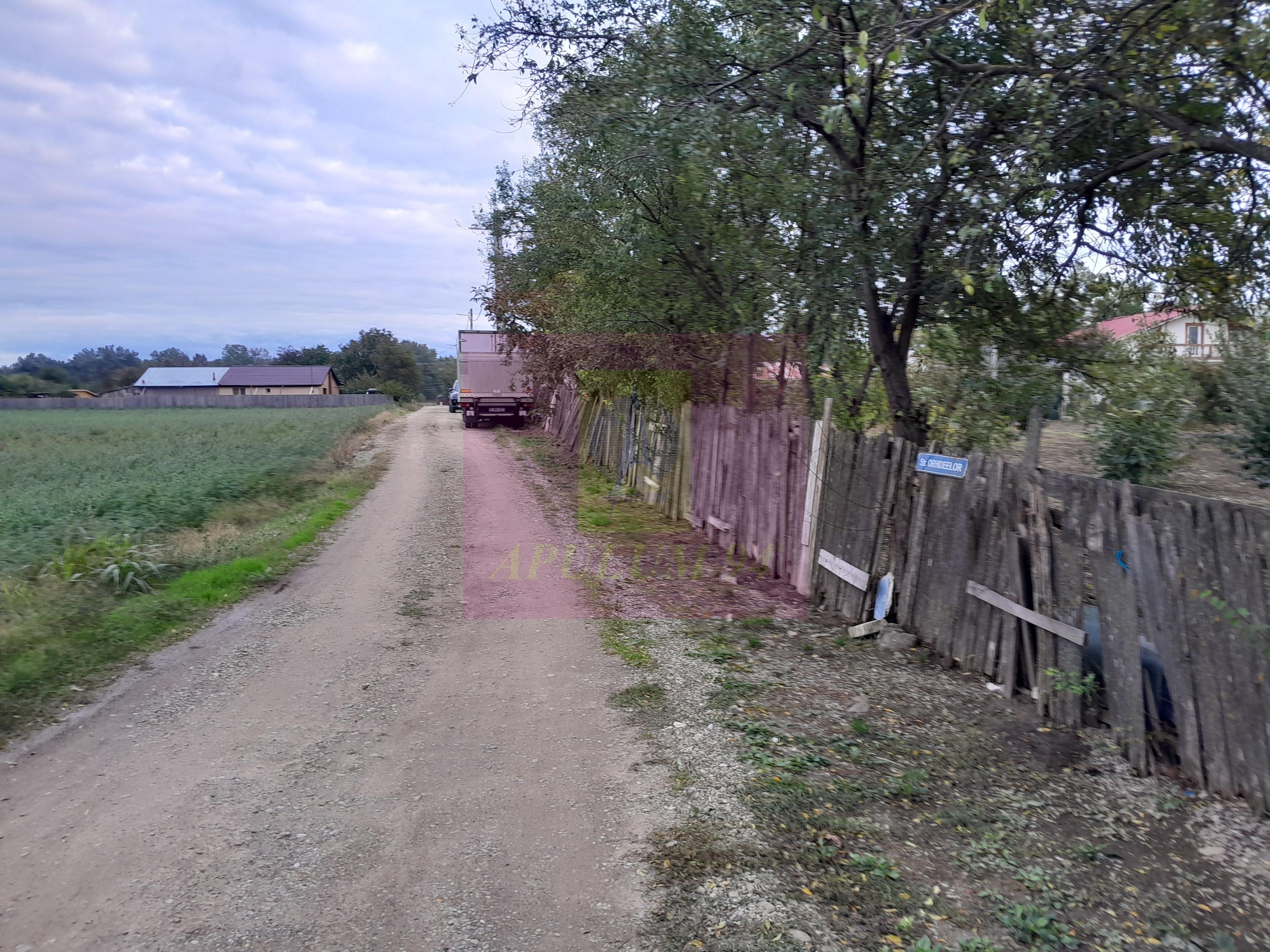 COSERENI (IL) - SE VINDE TEREN 2000 MP LA SOS BUCURESTI -URZICENI - 4