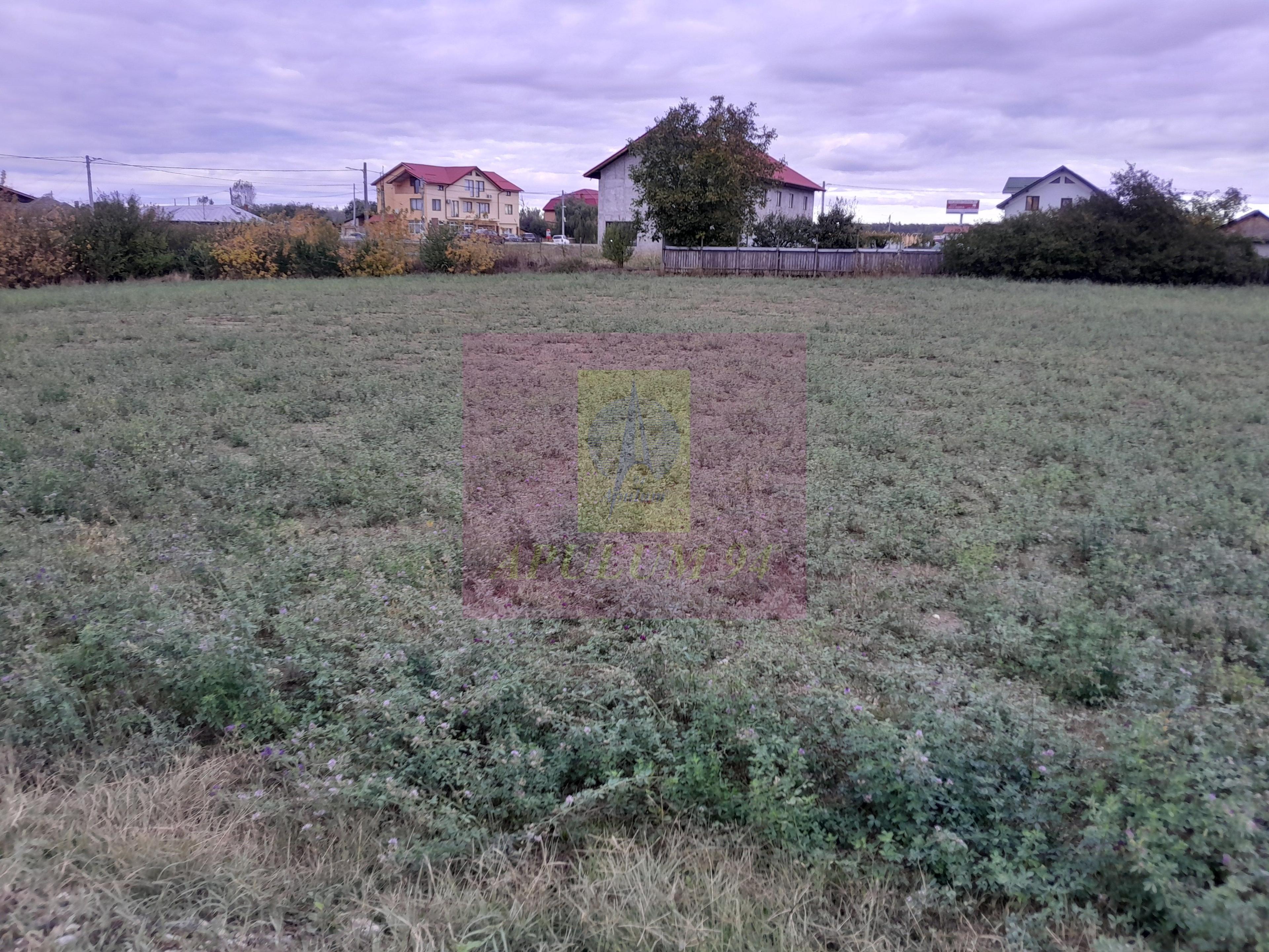 COSERENI (IL) - SE VINDE TEREN 2000 MP LA SOS BUCURESTI -URZICENI - 13