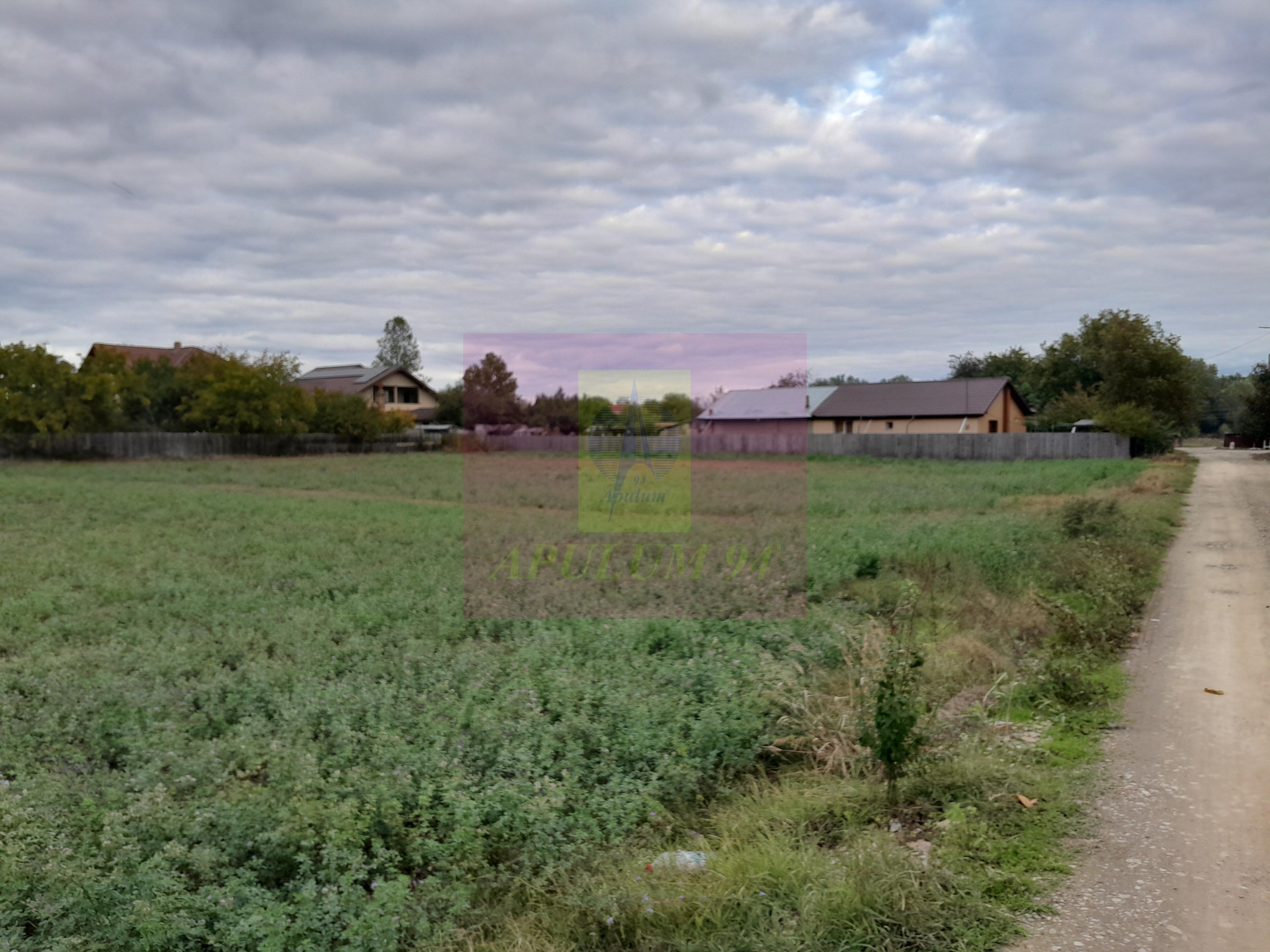 COSERENI (IL) - SE VINDE TEREN 2000 MP LA SOS BUCURESTI -URZICENI - 9