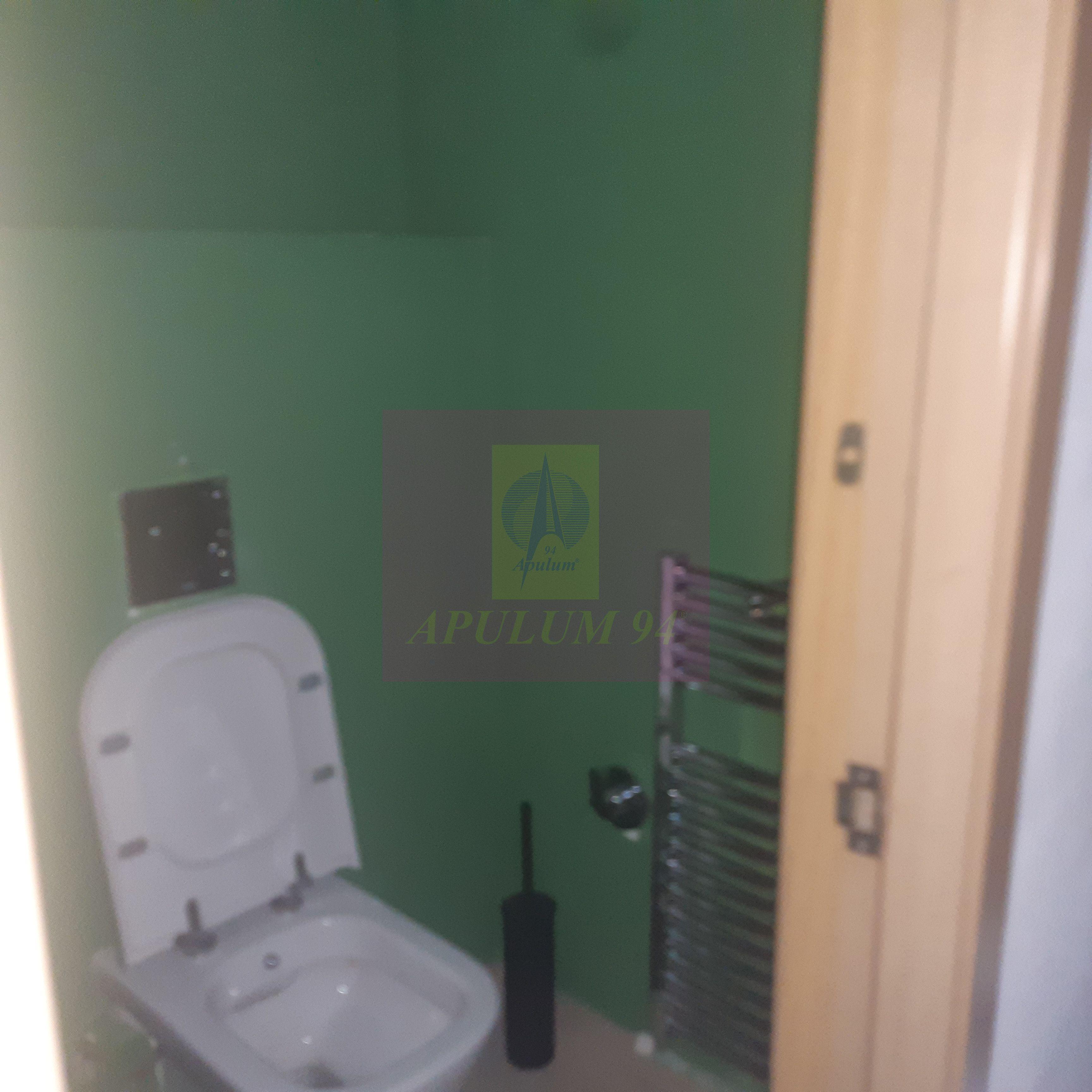 Spatiu Comercial Stradal Șoseaua Colentina zona Teiul Doamnei Suveica - 51