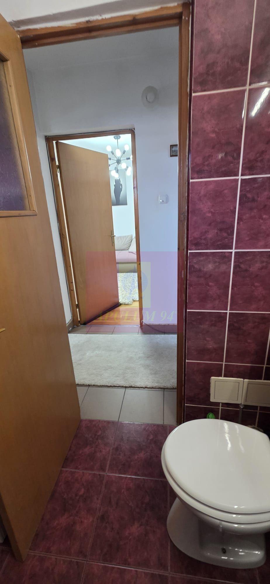 Apartamnet cu 2 cmere de vanzare in Campina - 17