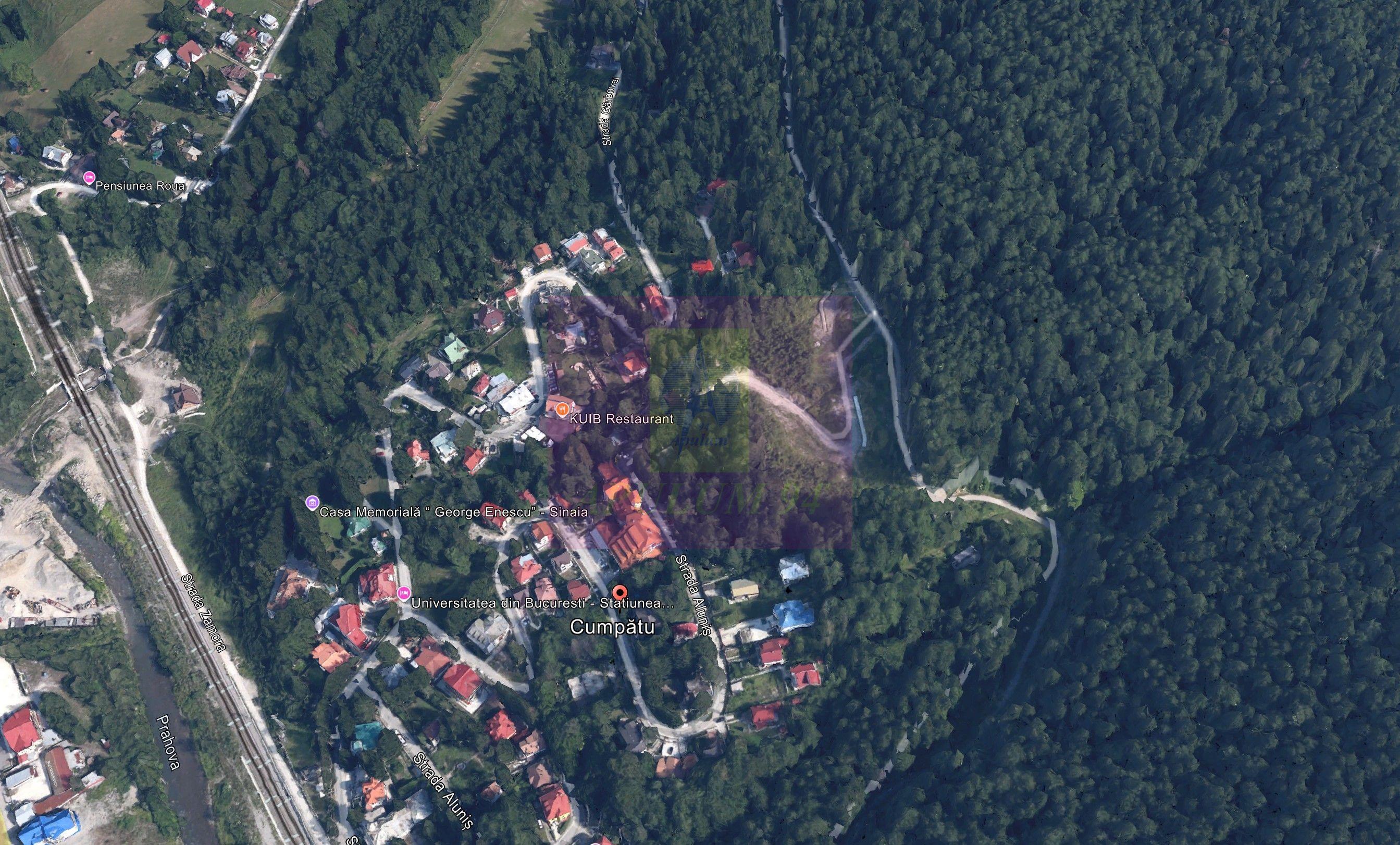 Teren extravilan in Sinaia (25 euro/mp) - 3
