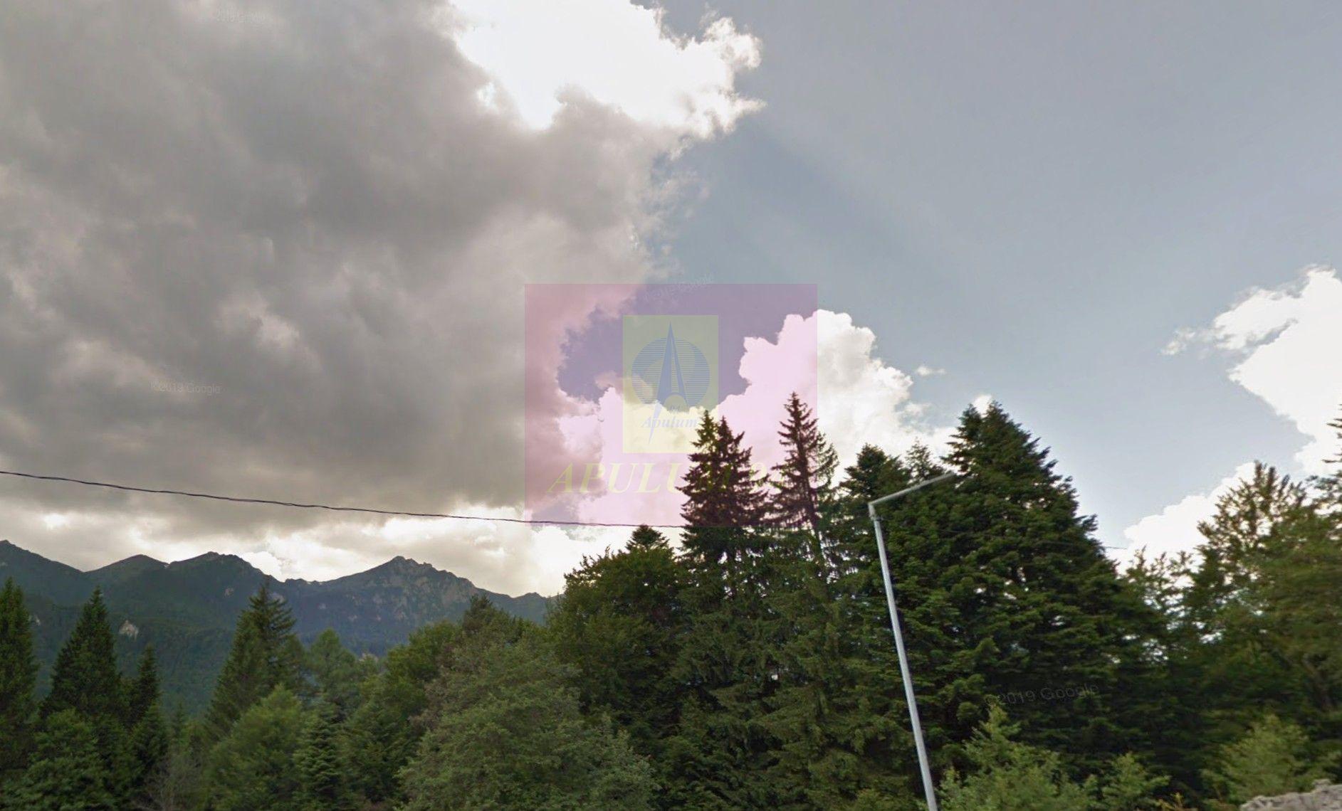 Teren extravilan in Sinaia (25 euro/mp) - 1