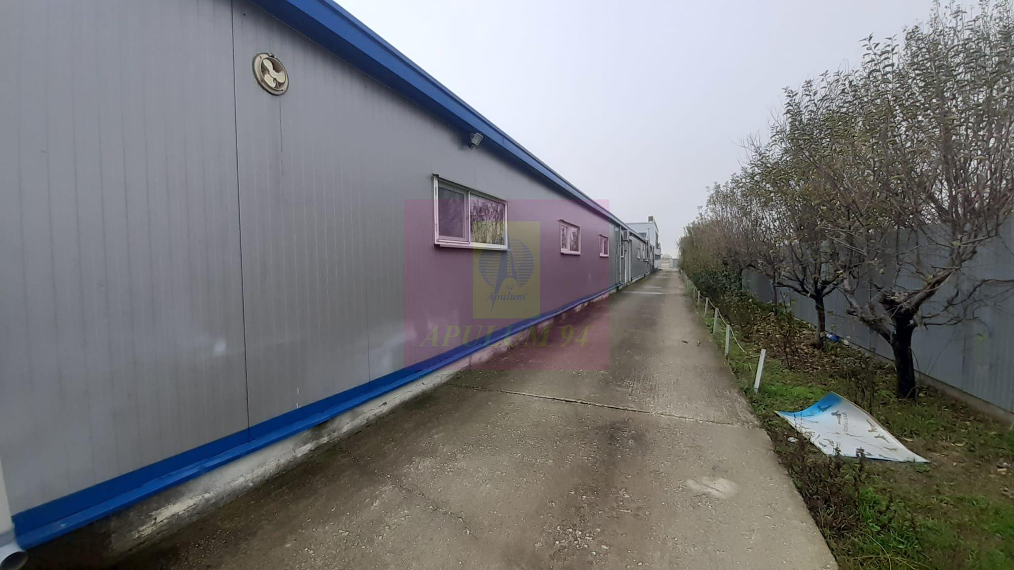 Showroom în Sudul Bucureștiului - 63