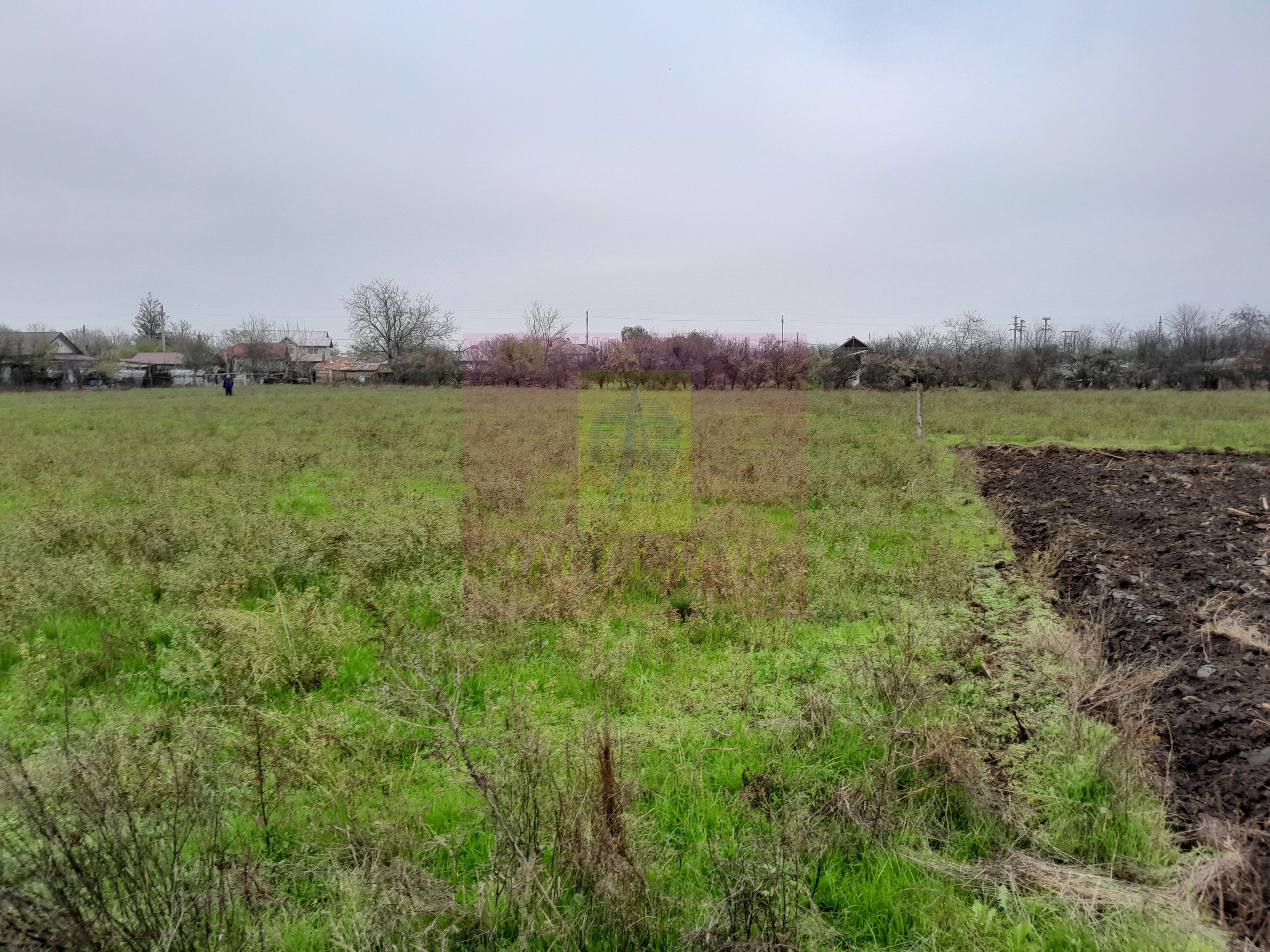BARCANESTI (IL) - SE VINDE CASA + TEREN 16K MP - 66