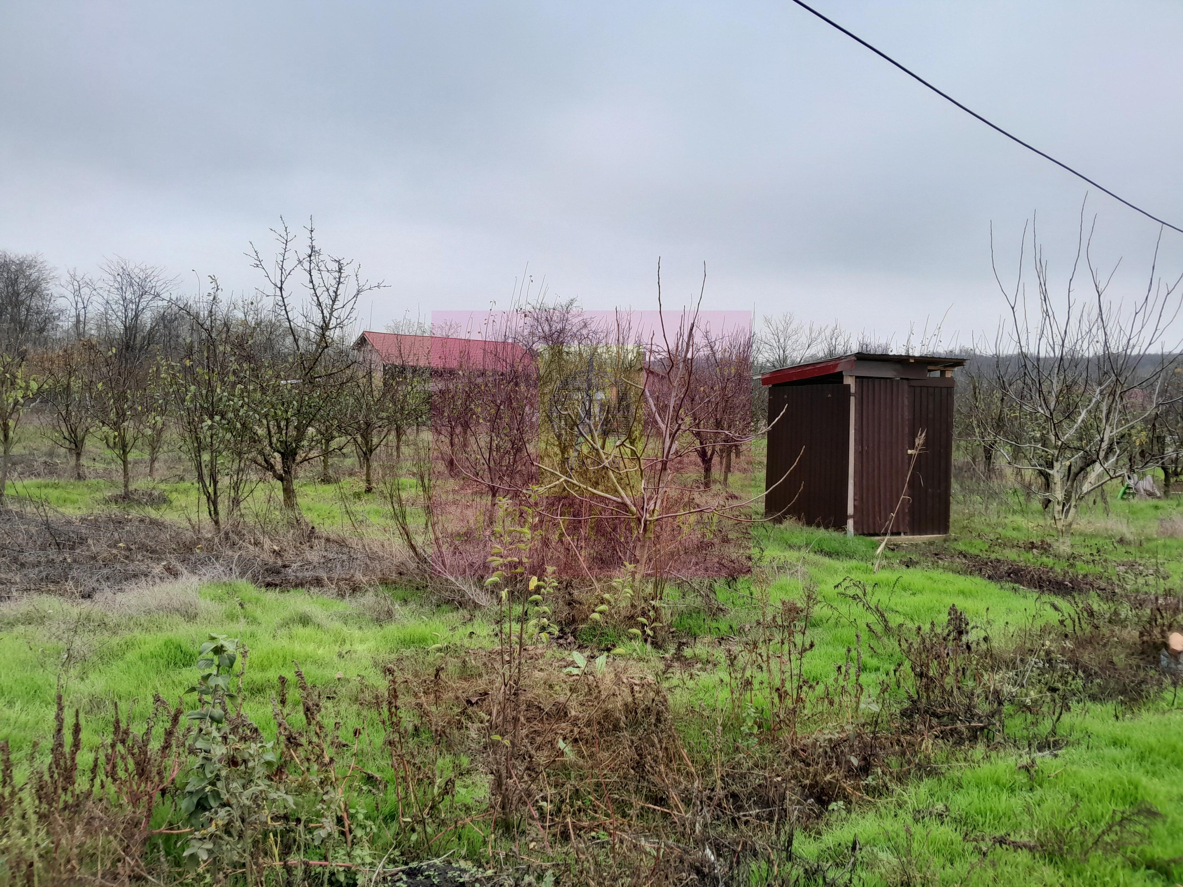 BARCANESTI (IL) - SE VINDE CASA + TEREN 16K MP - 65