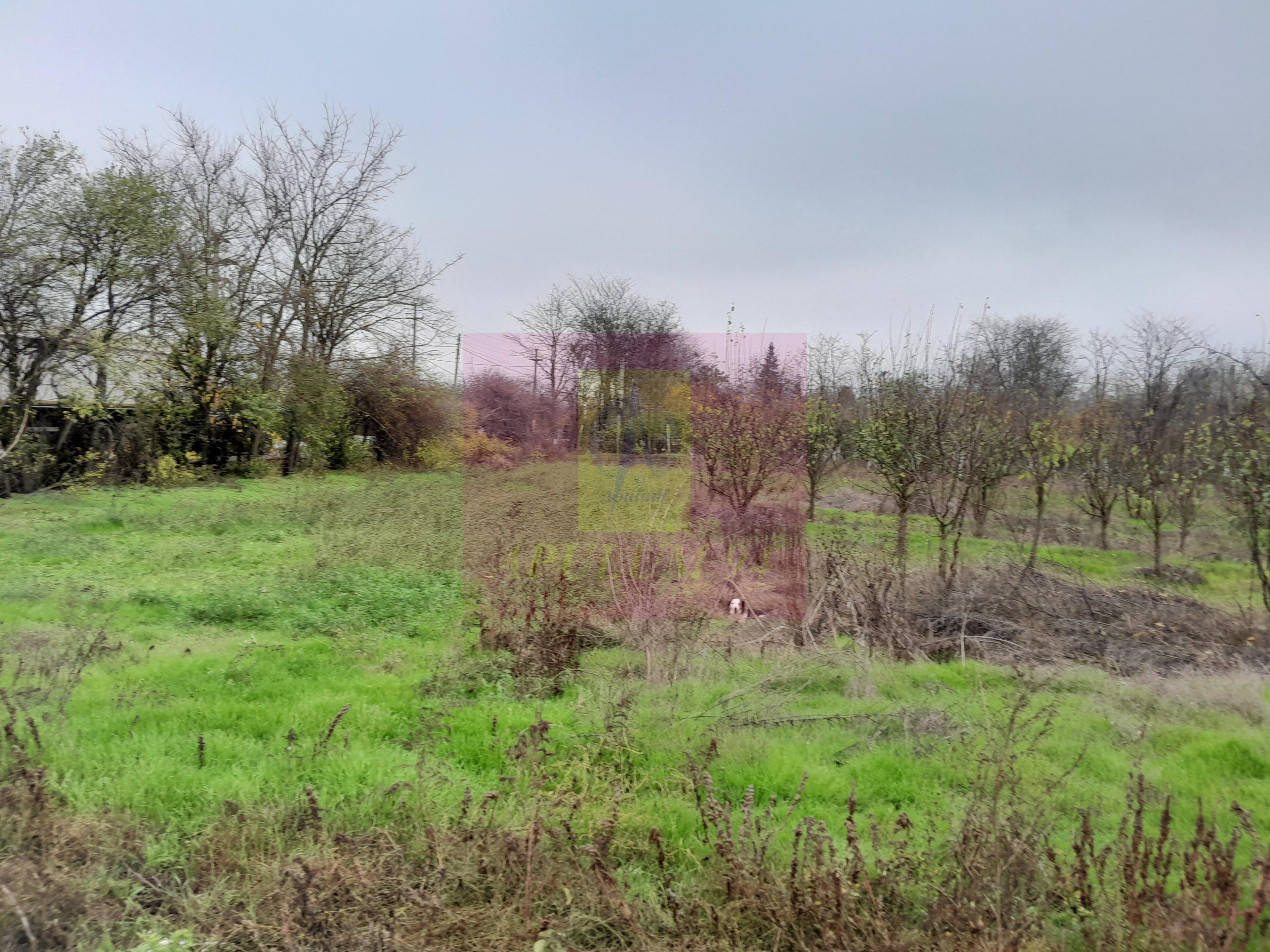 BARCANESTI (IL) - SE VINDE CASA + TEREN 16K MP - 13
