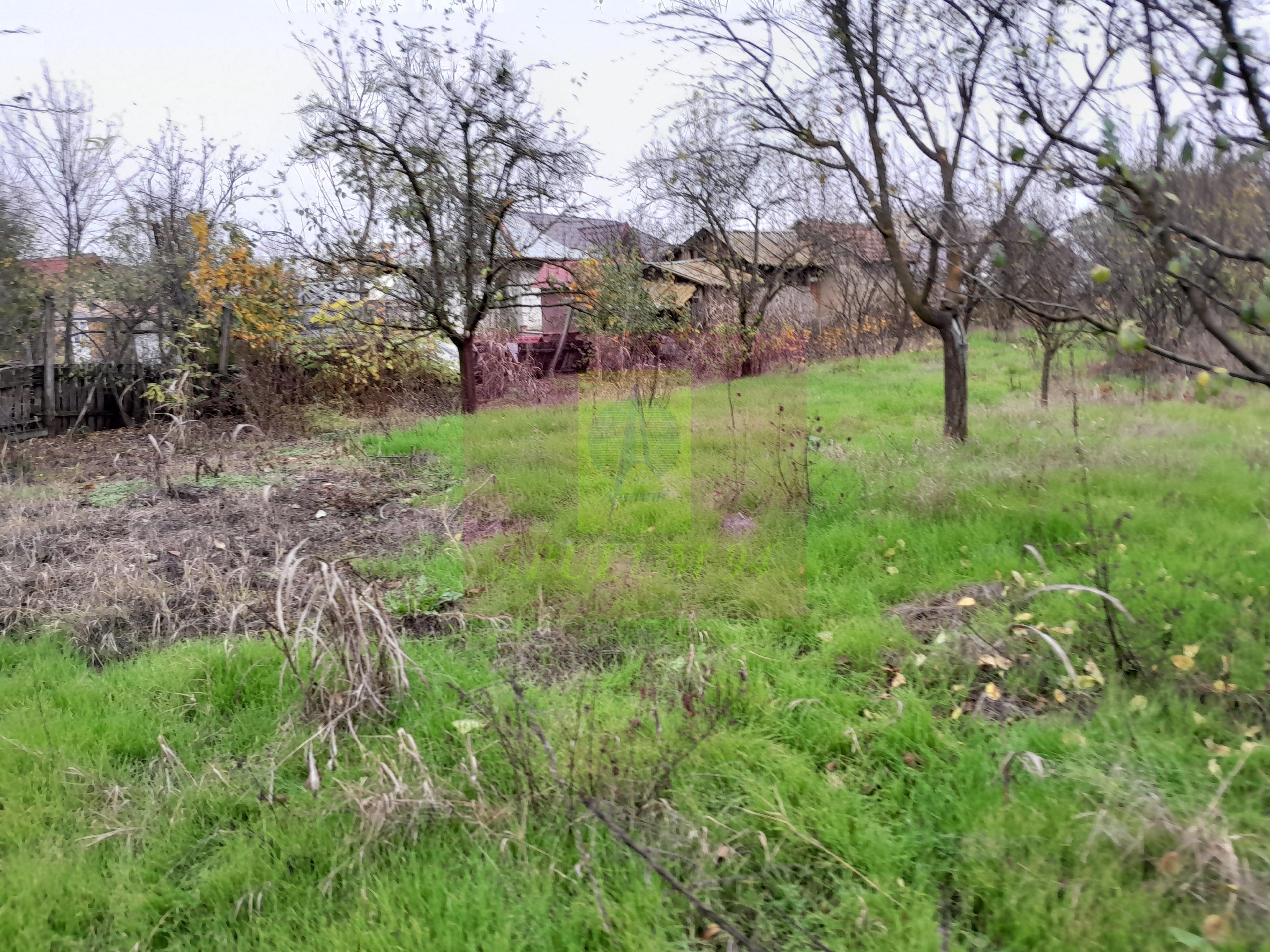 BARCANESTI (IL) - SE VINDE CASA + TEREN 16K MP - 56