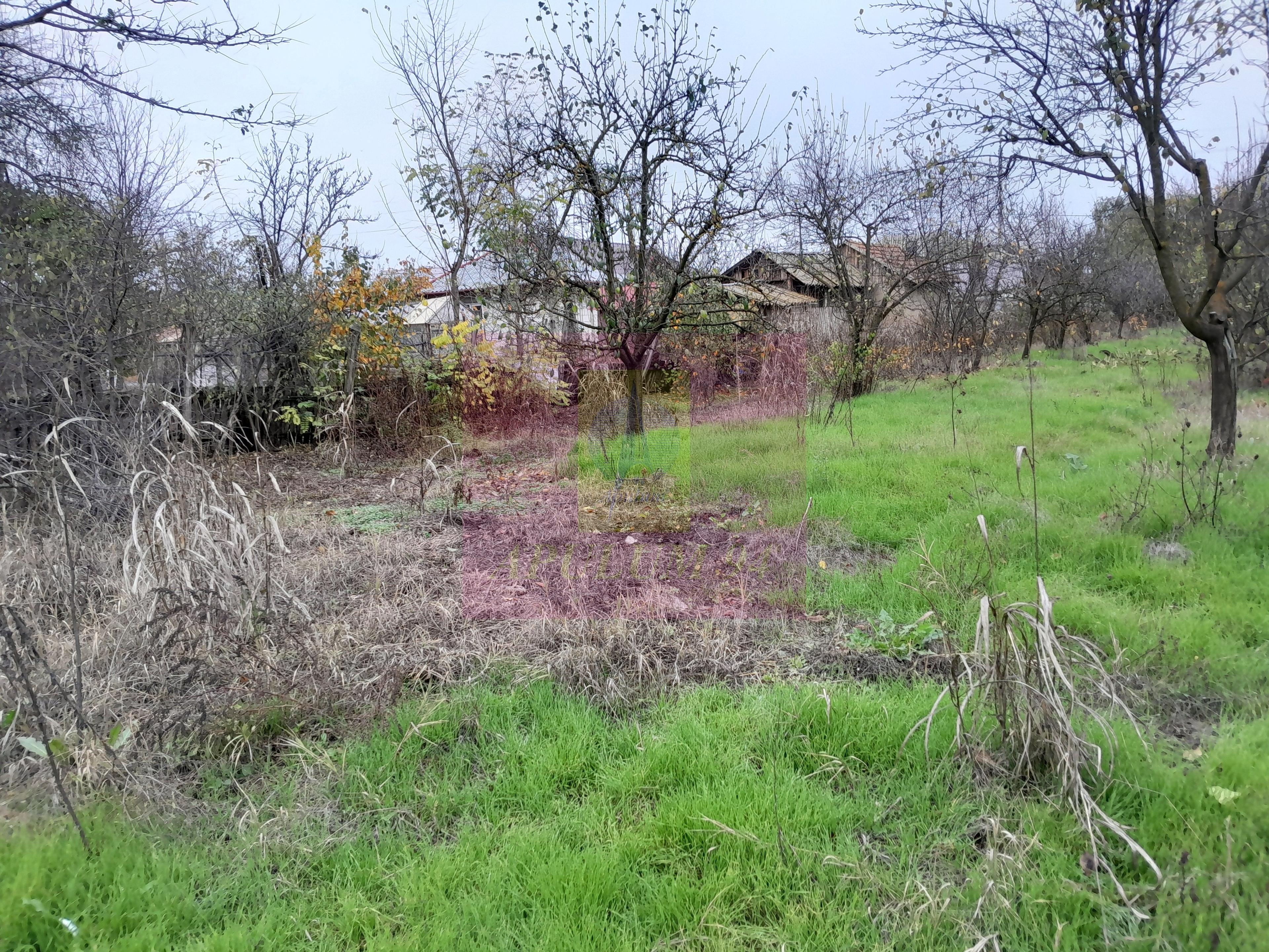 BARCANESTI (IL) - SE VINDE CASA + TEREN 16K MP - 58