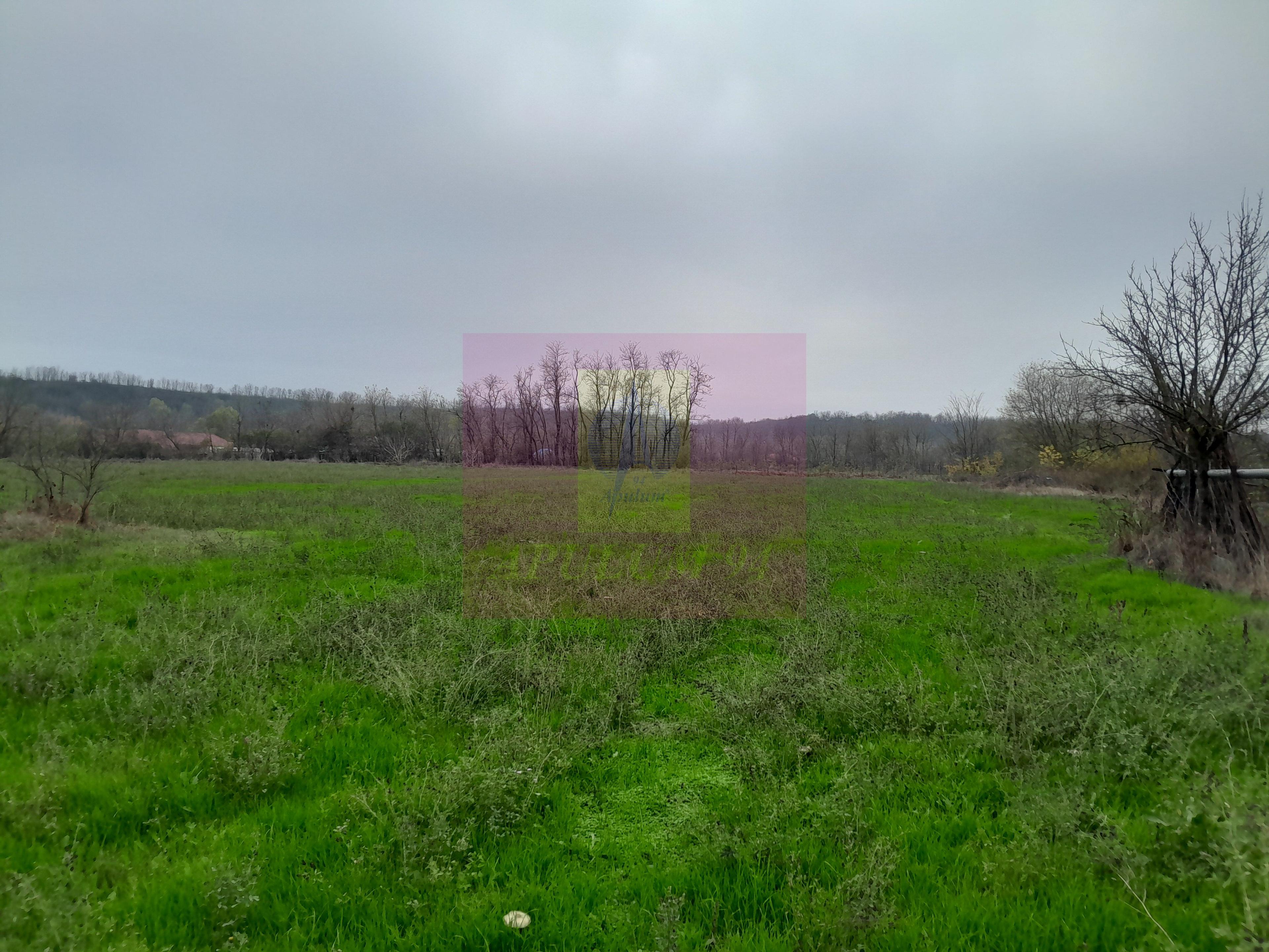 BARCANESTI (IL) - SE VINDE CASA + TEREN 16K MP - 14