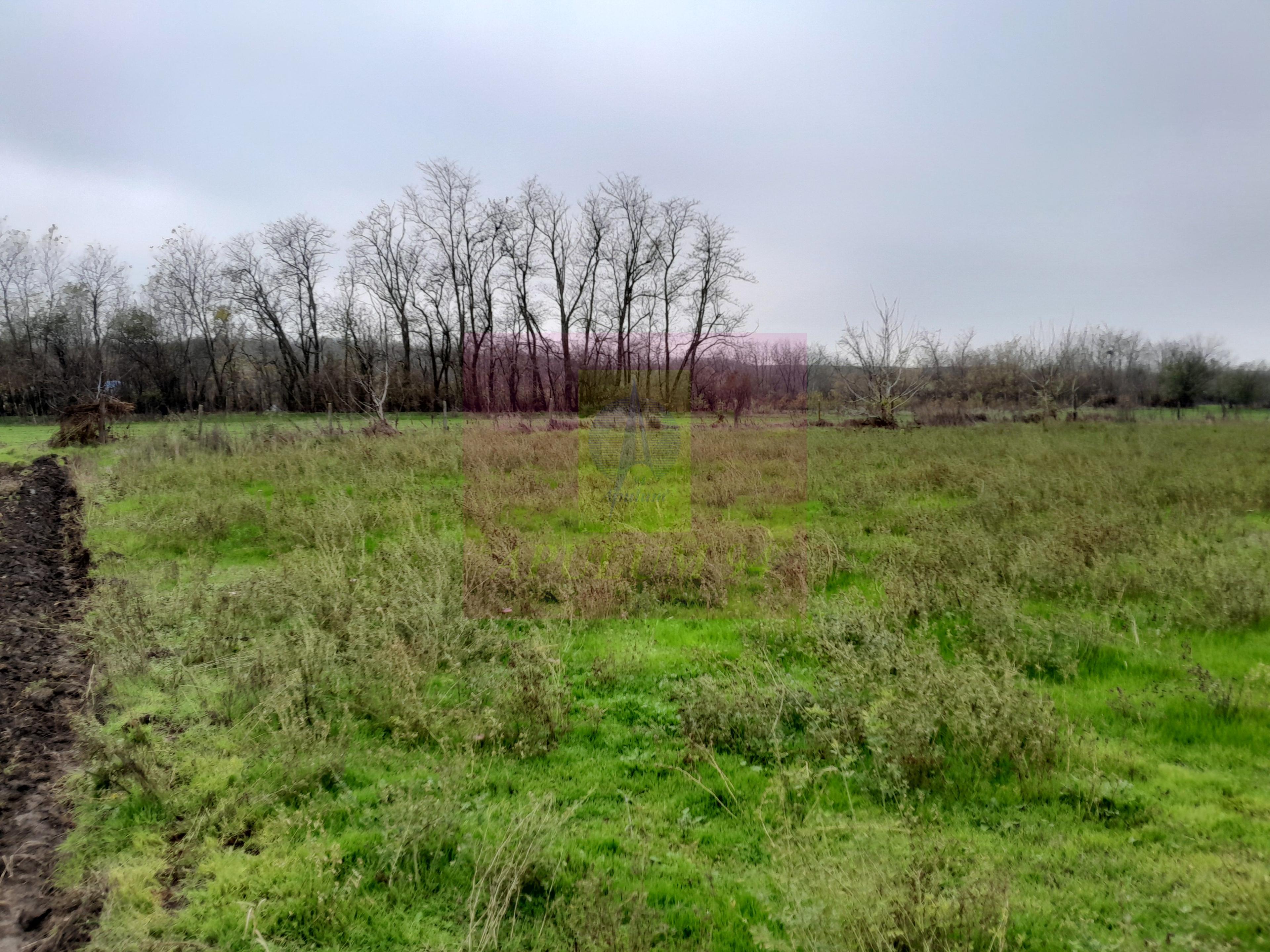 BARCANESTI (IL) - SE VINDE CASA + TEREN 16K MP - 24
