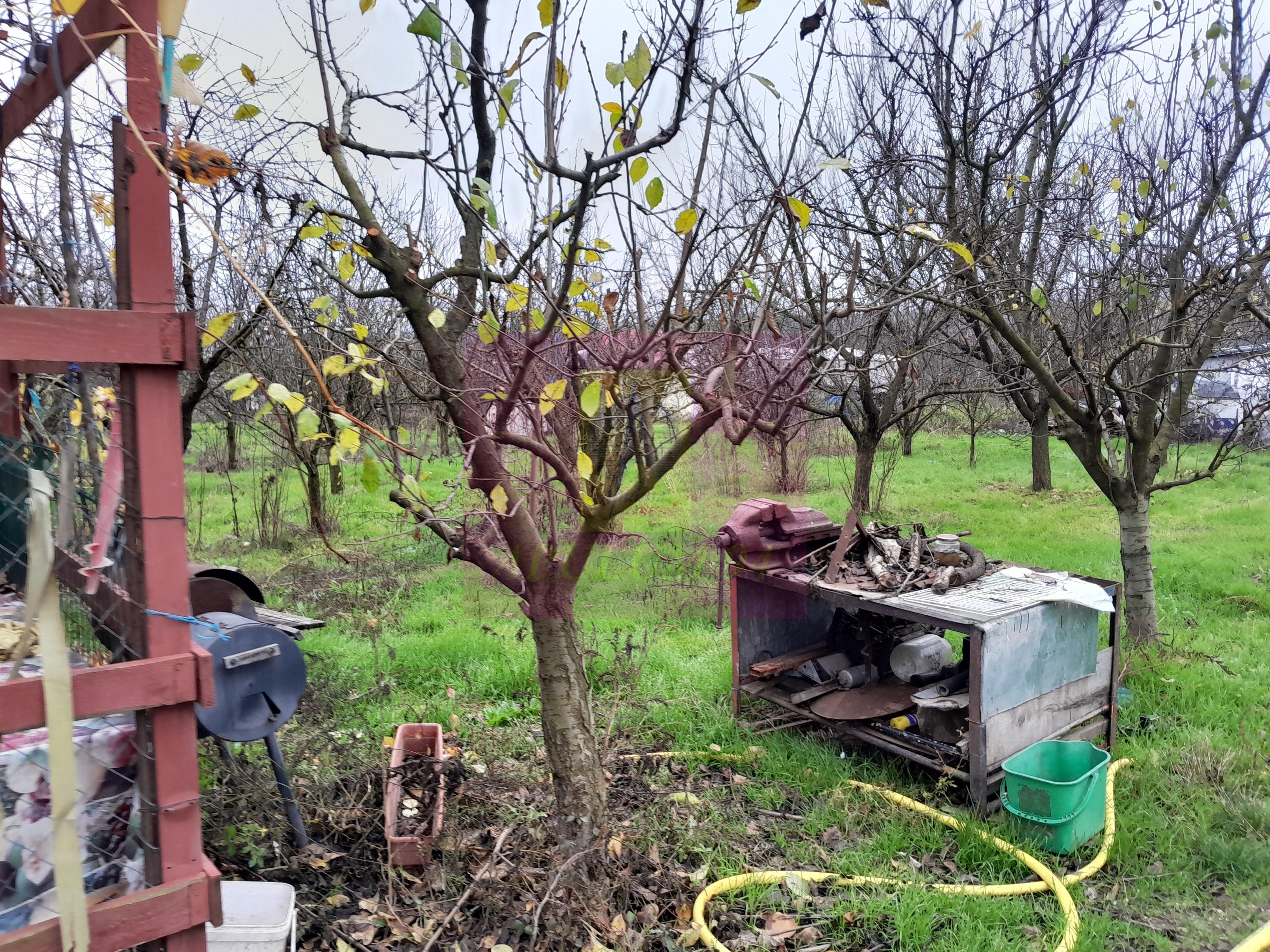 BARCANESTI (IL) - SE VINDE CASA + TEREN 16K MP - 76