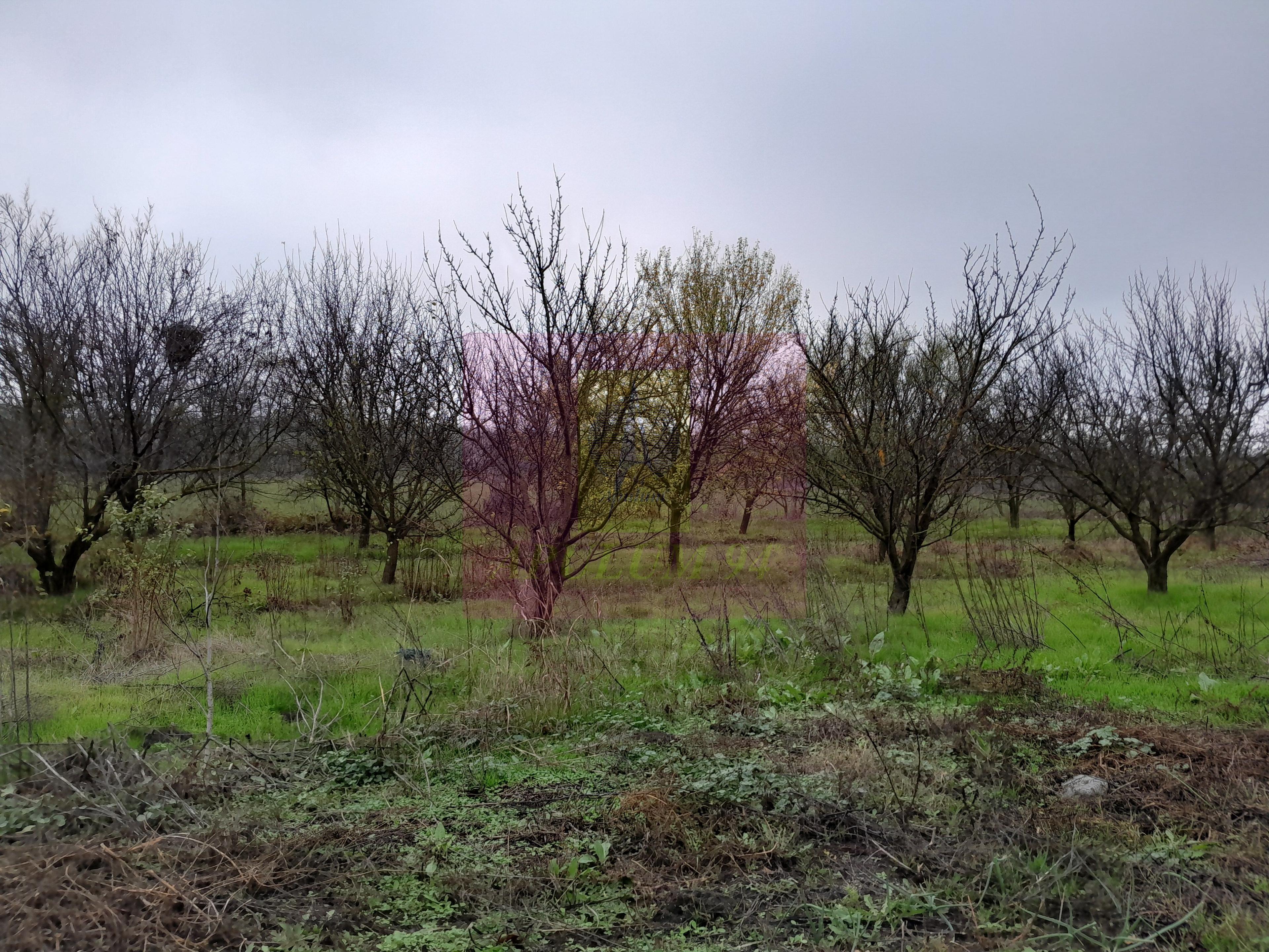 BARCANESTI (IL) - SE VINDE CASA + TEREN 16K MP - 53