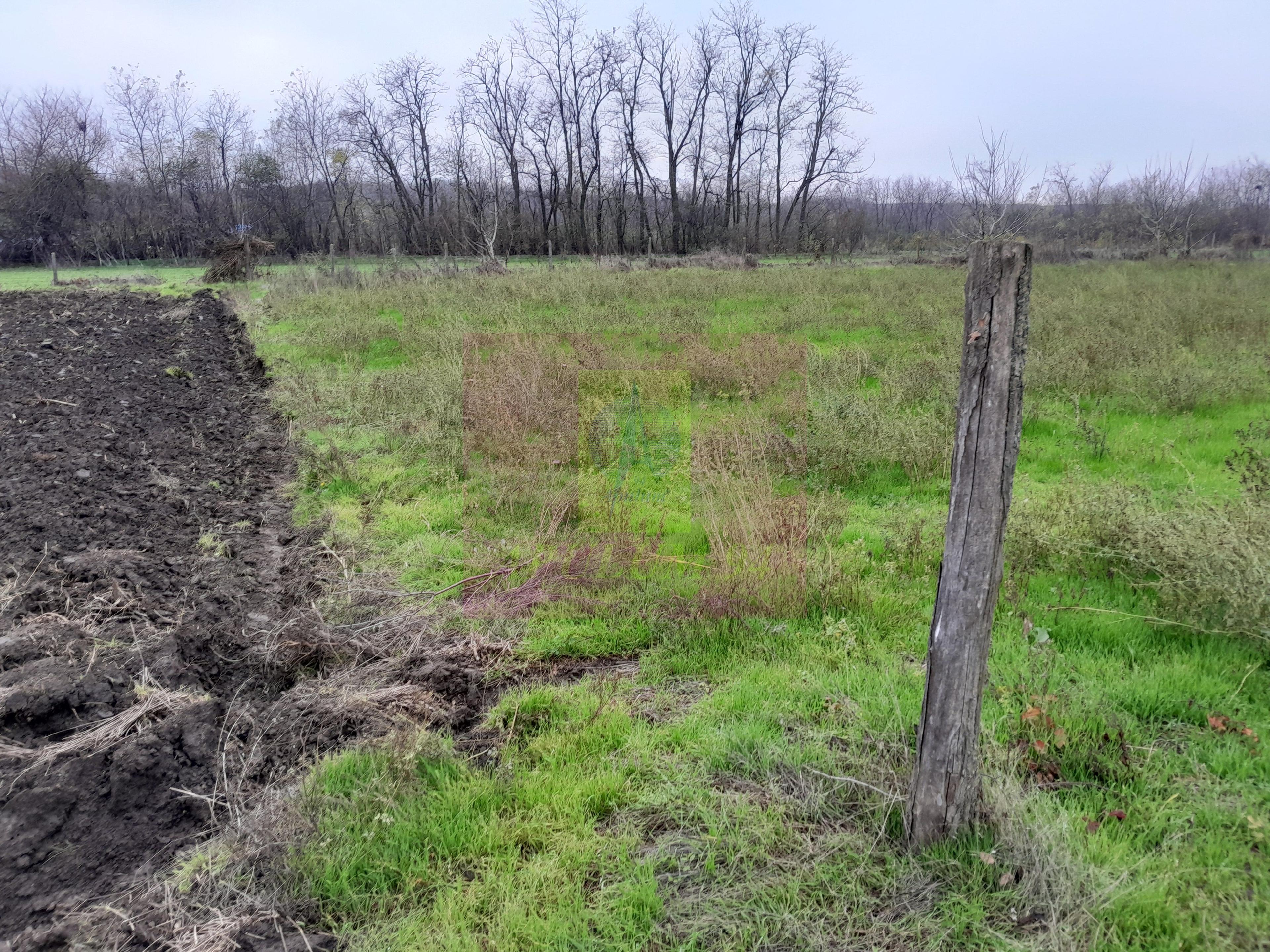 BARCANESTI (IL) - SE VINDE CASA + TEREN 16K MP - 74