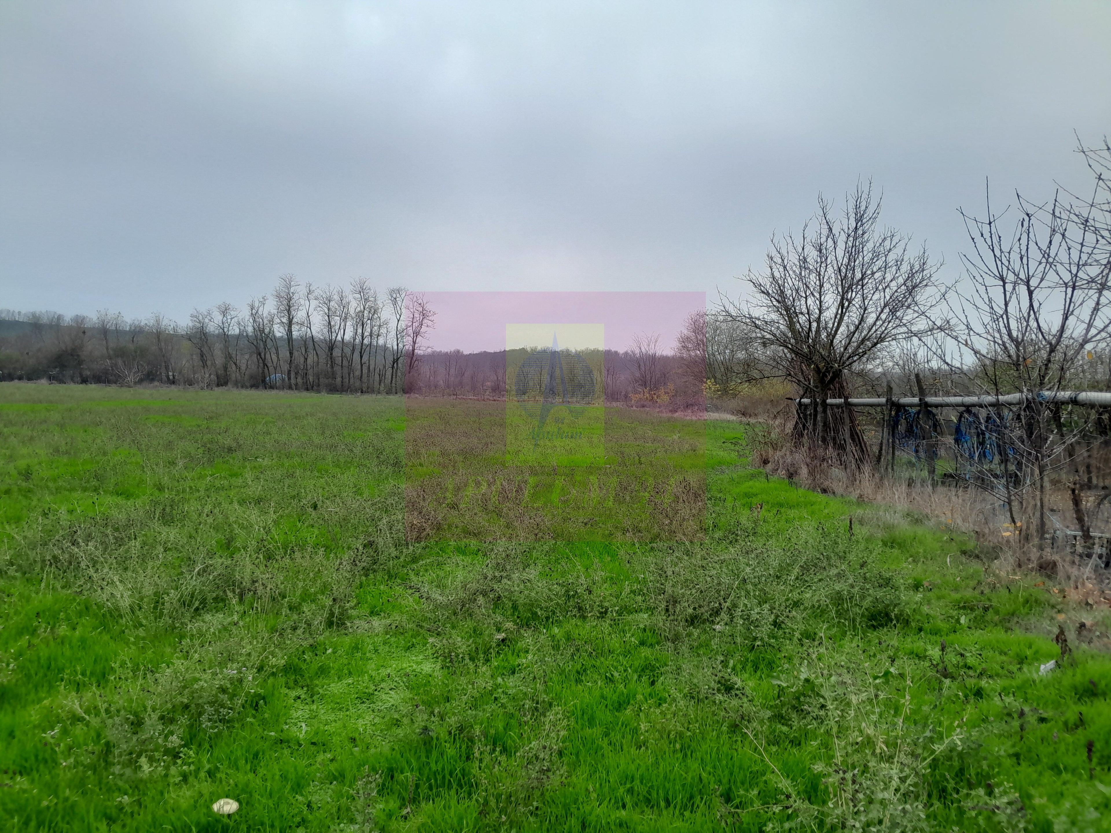 BARCANESTI (IL) - SE VINDE CASA + TEREN 16K MP - 48