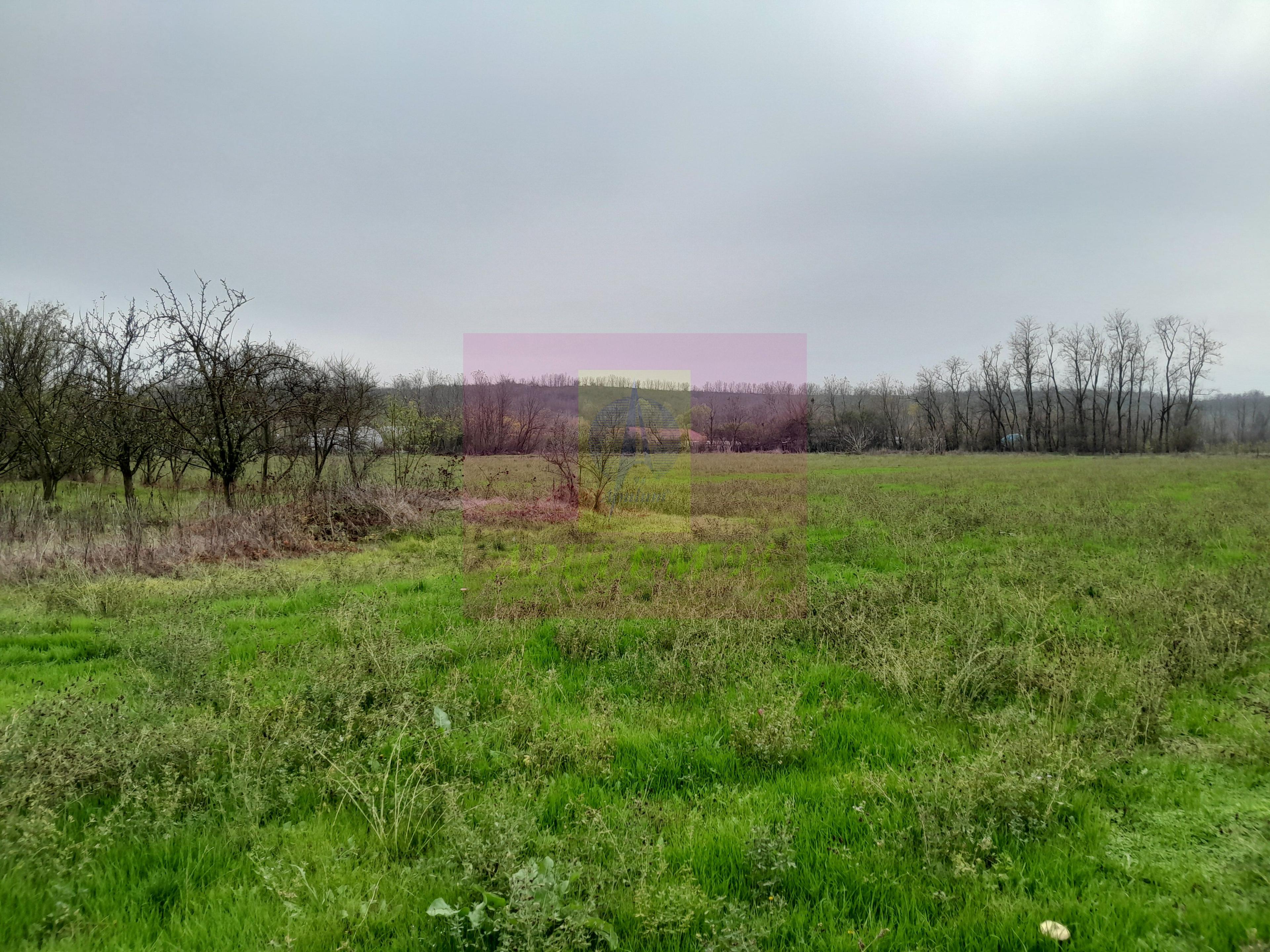 BARCANESTI (IL) - SE VINDE CASA + TEREN 16K MP - 57