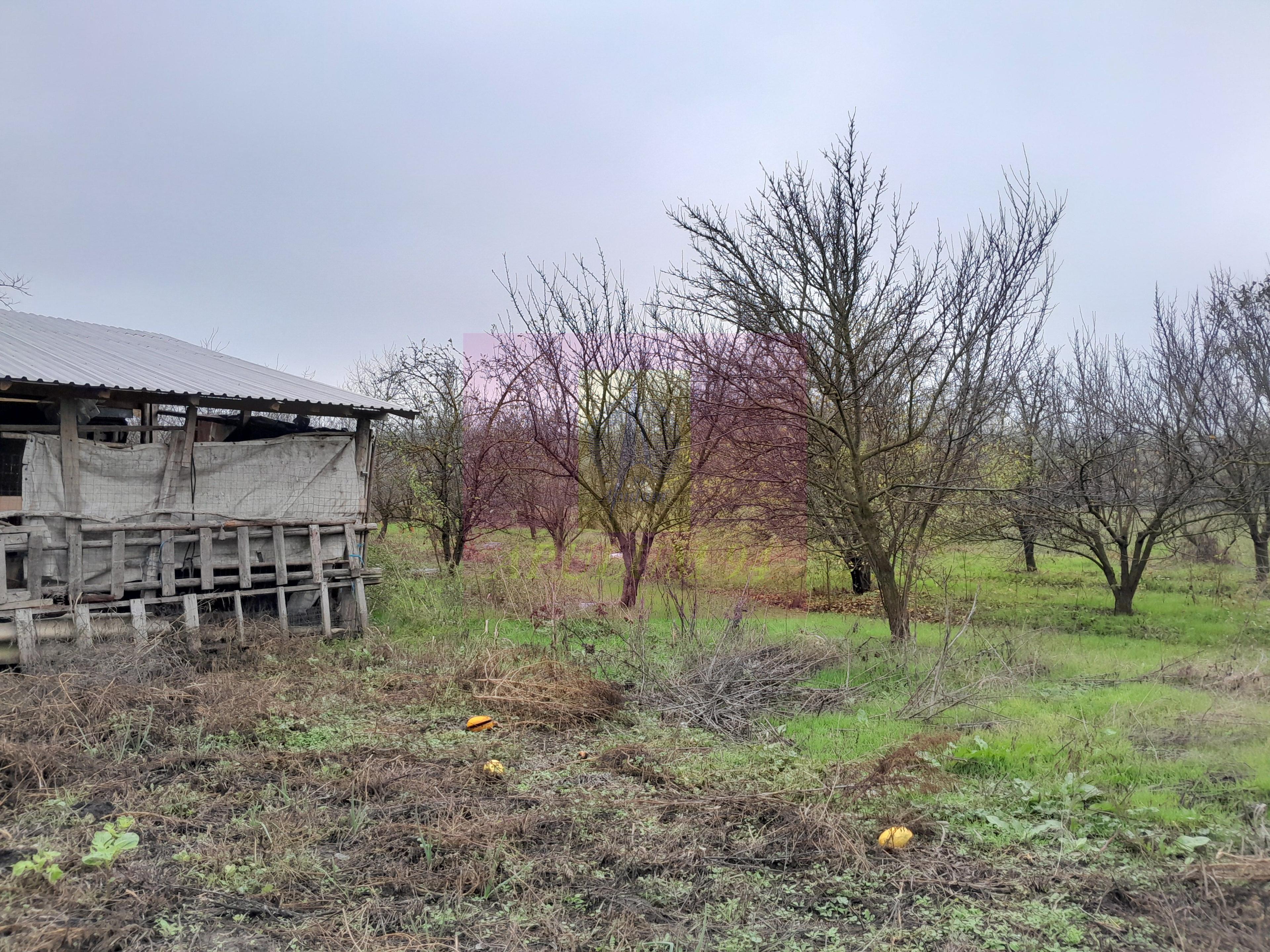 BARCANESTI (IL) - SE VINDE CASA + TEREN 16K MP - 55