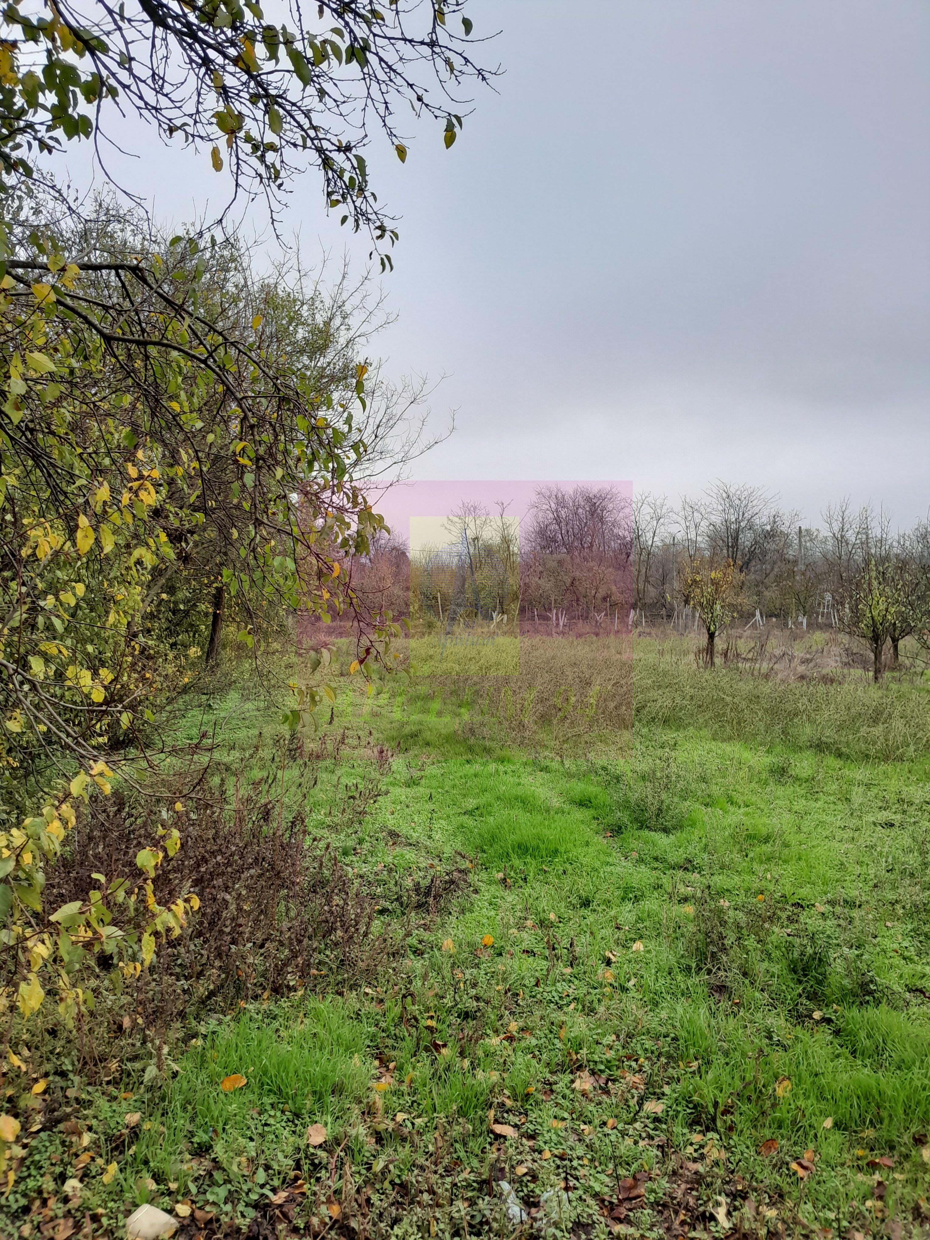 BARCANESTI (IL) - SE VINDE CASA + TEREN 16K MP - 75