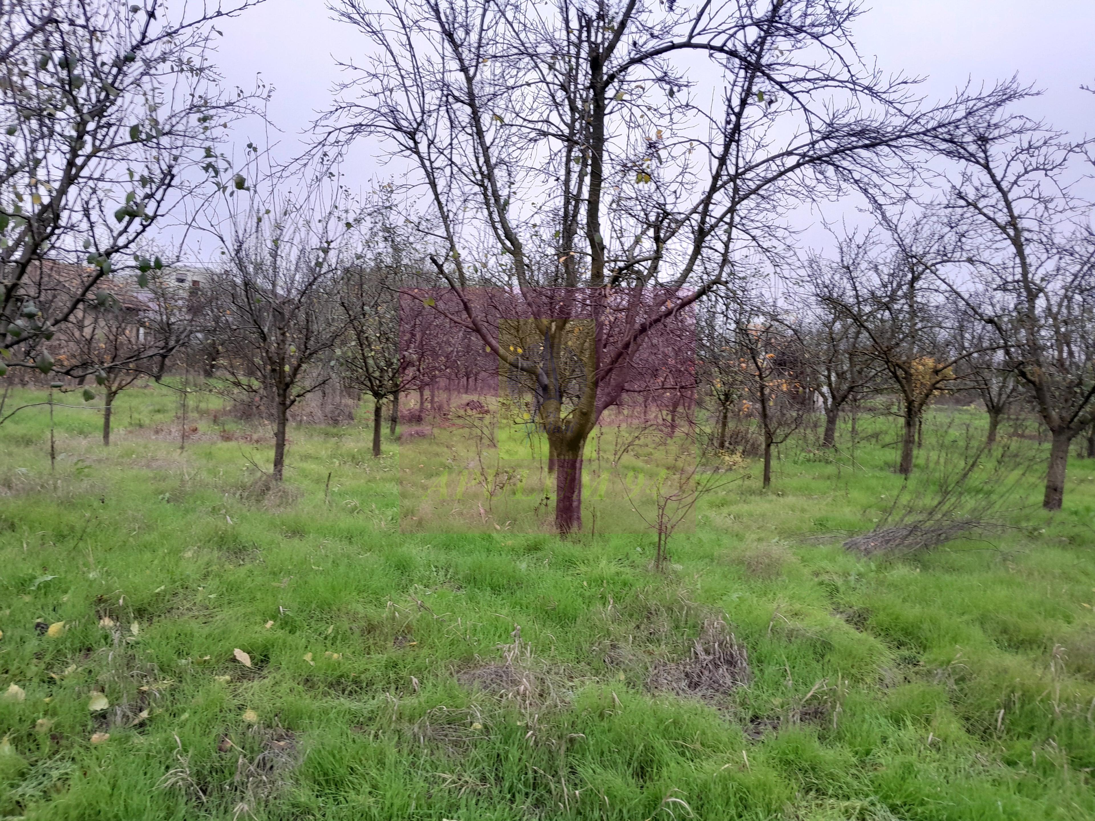 BARCANESTI (IL) - SE VINDE CASA + TEREN 16K MP - 62