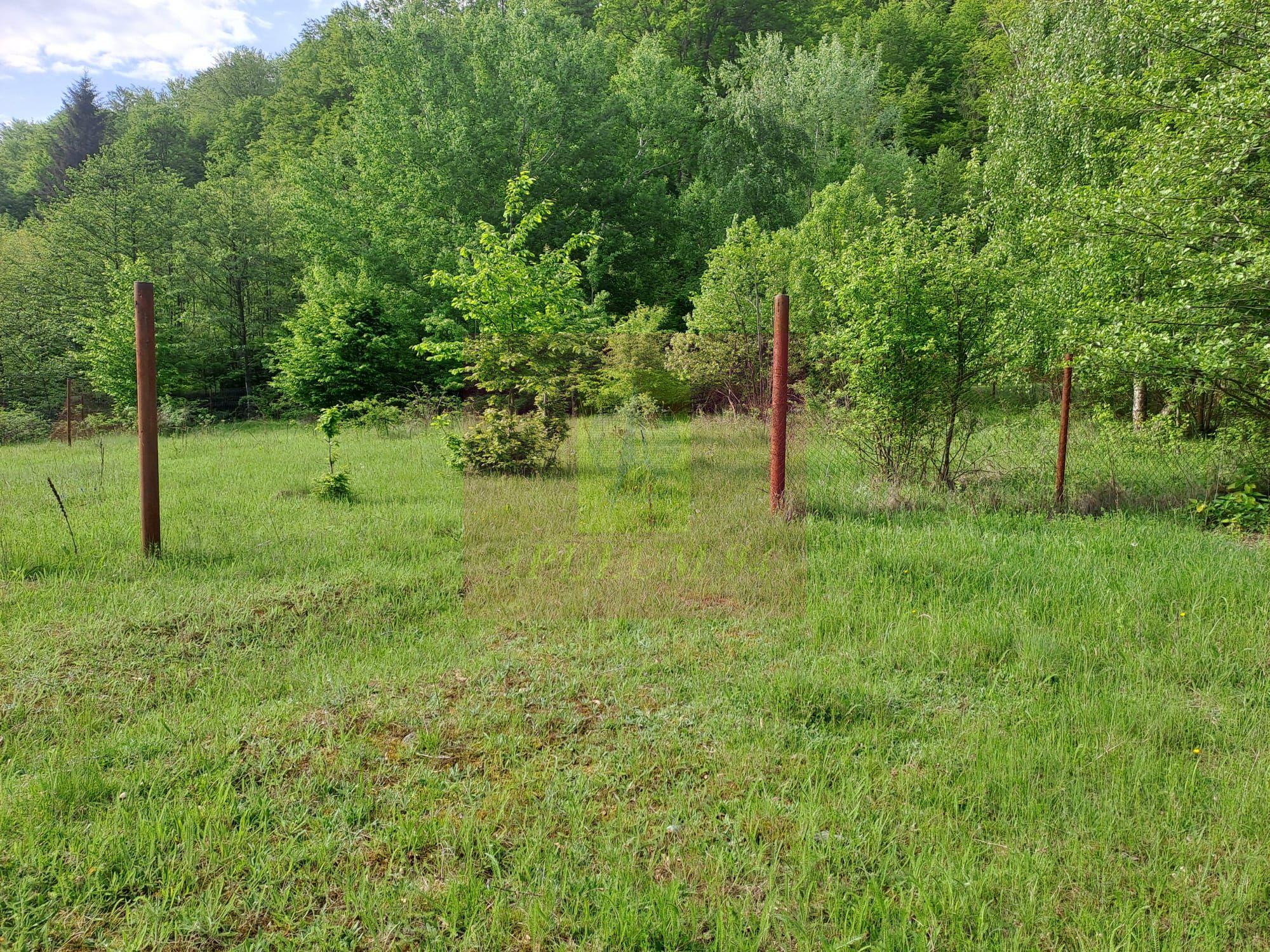 BEREVOIESTI (AG) SE VINDE TEREN 834 MP IN zona Pastravaria Rausor - 7