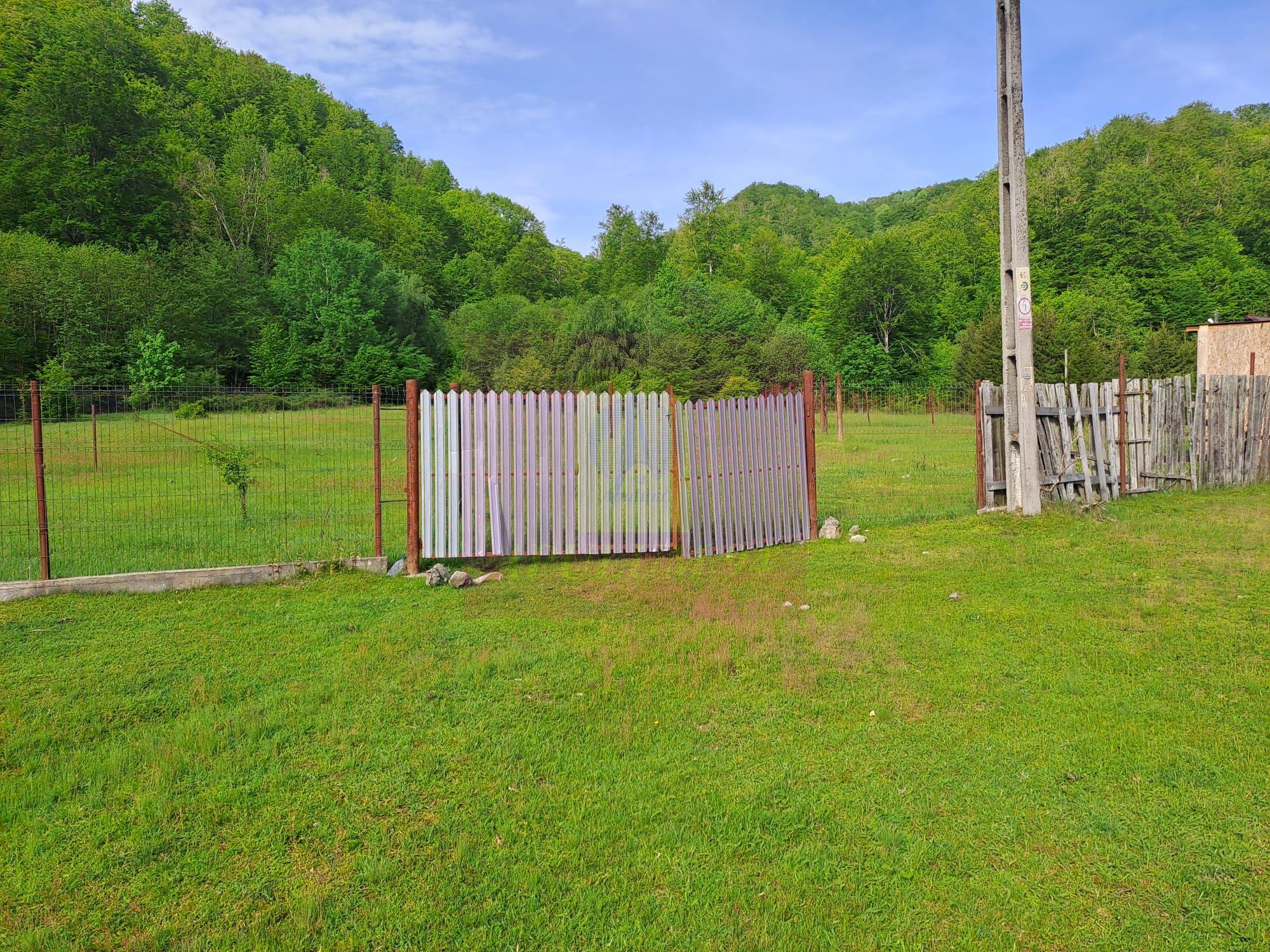 BEREVOIESTI (AG) SE VINDE TEREN 834 MP IN zona Pastravaria Rausor - 5