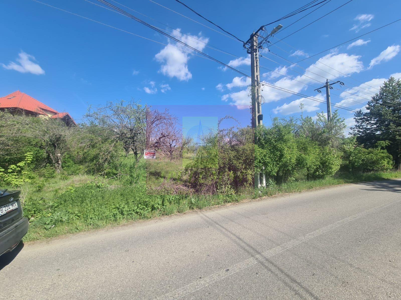 Teren de vanzare in Campina in zona retrasa - 13