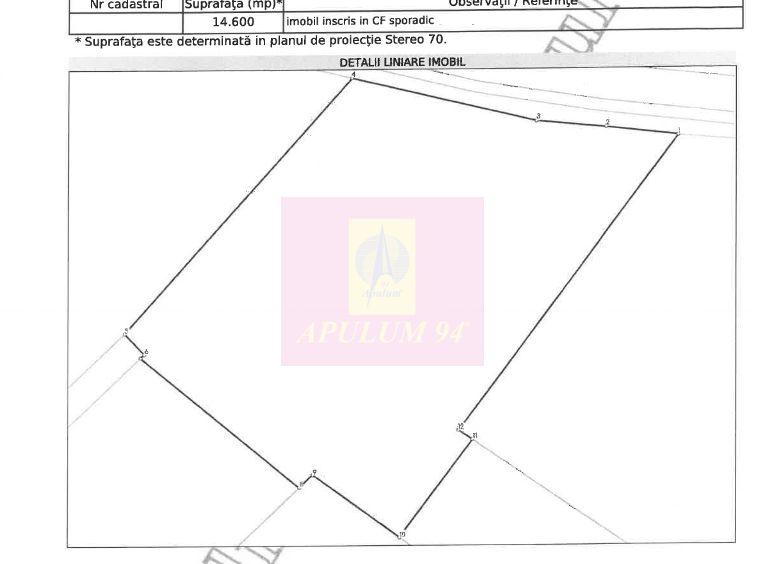 Vanzare teren intravilan agricol in zona Mihailesti, Giurgiu - 5