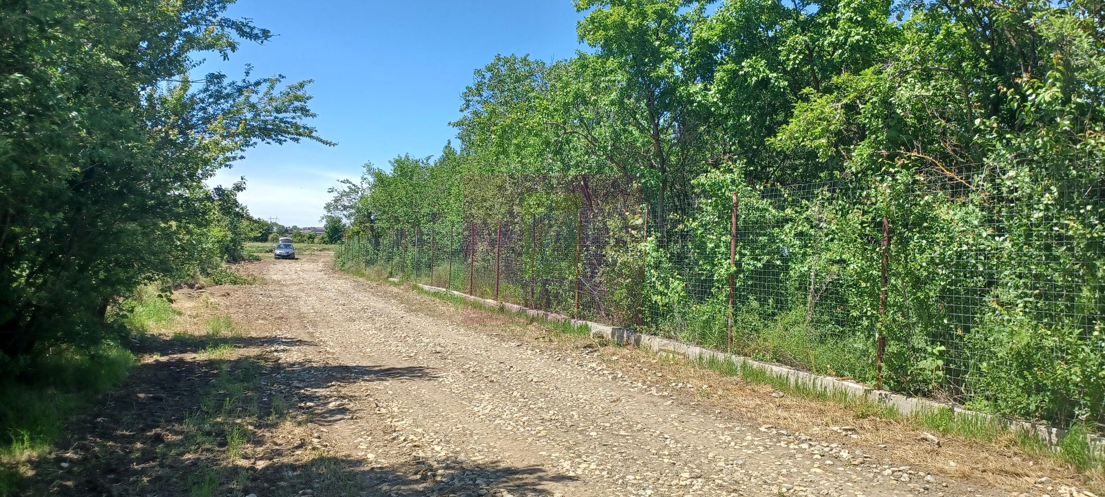 Săbăreni, lot de casă 1050 mp, curent lângă teren - 4
