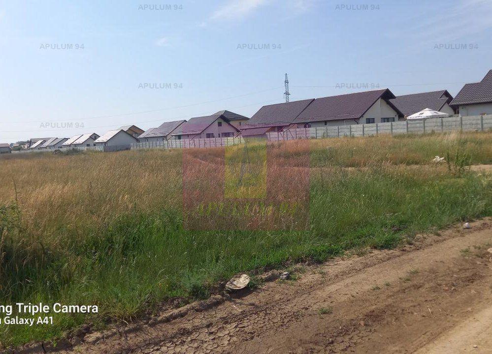 Teren, zona Dobroesti Pantelimon - 4