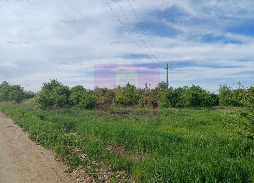 Teren 1400 mp, intravilan construibil, în Joița - 4