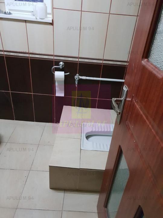 Locul Potrivit pentru afacerea ta - Otopeni- Calea București - 10