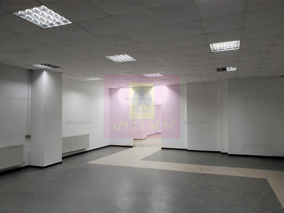 Locul Potrivit pentru afacerea ta - Otopeni- Calea București - 6