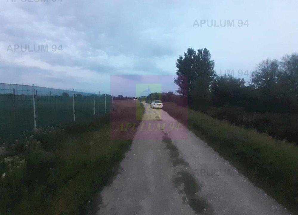 Teren aproape de Bucuresti langa padure - 9