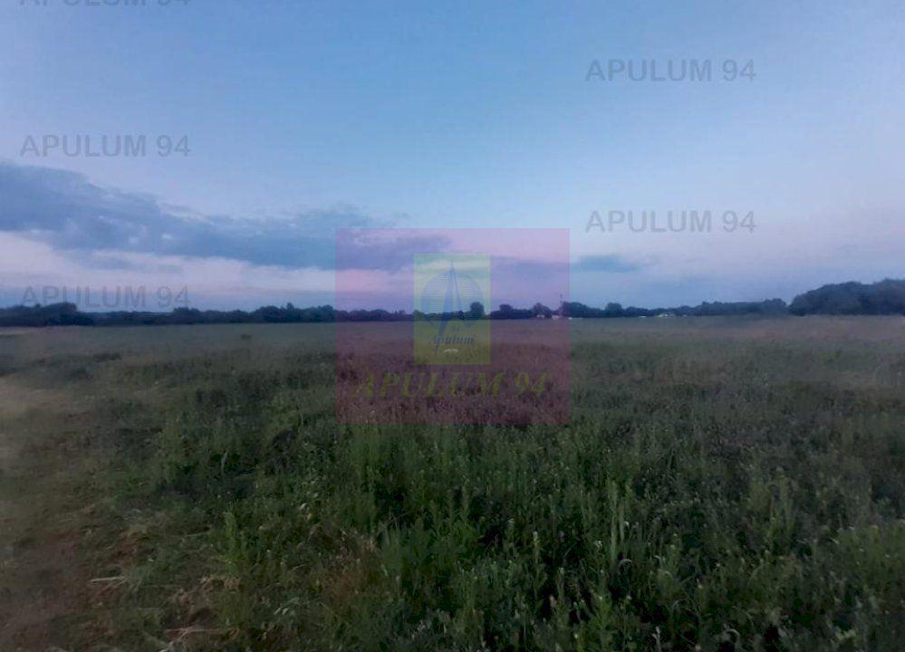 Teren aproape de Bucuresti langa padure - 8