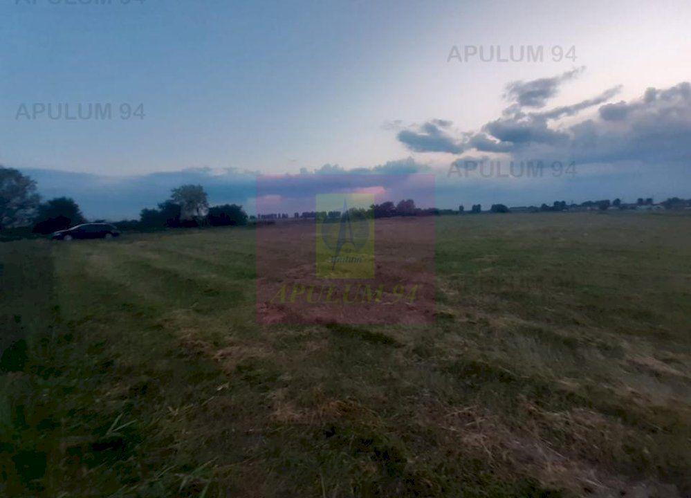 Teren aproape de Bucuresti langa padure - 17