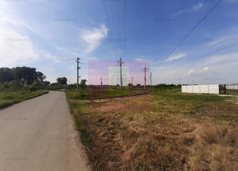 Teren construcție casă - 1 Decembrie - Zona Metropolitană București - 2