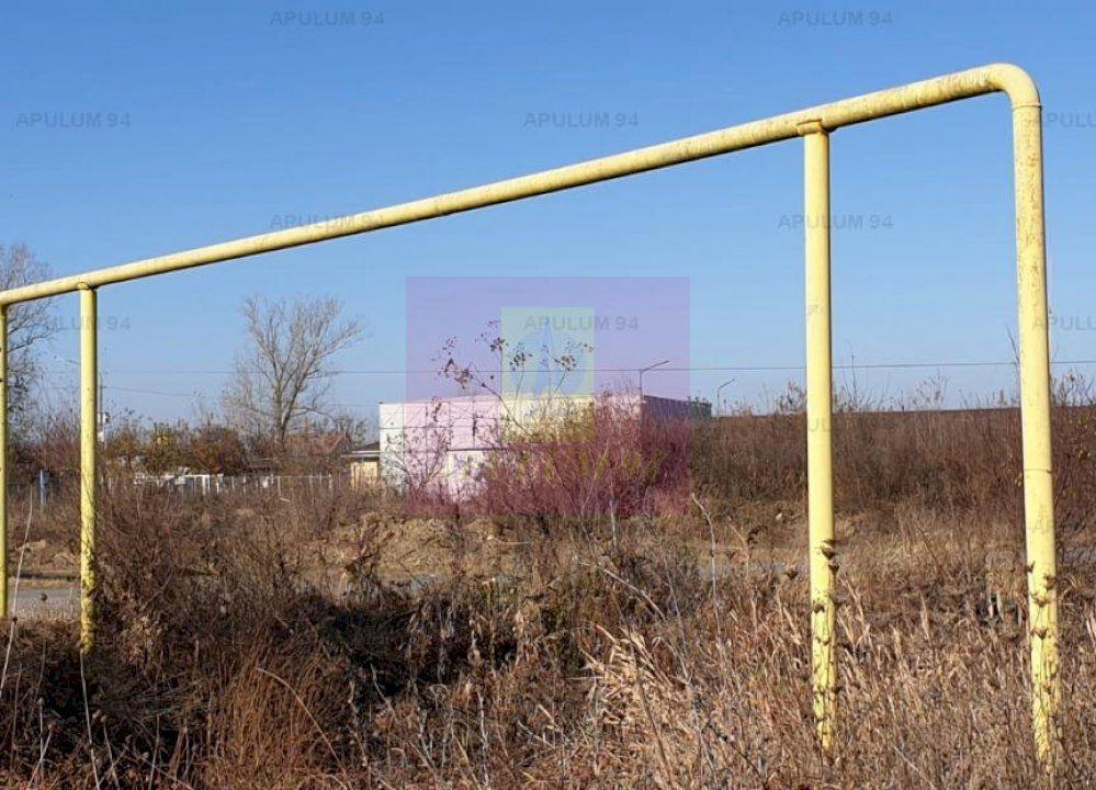 Teren construcție casă - 1 Decembrie - Zona Metropolitană București - 7