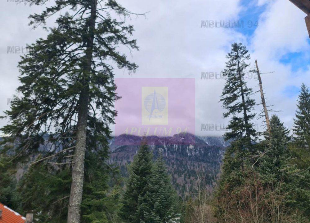 Vilă de vânzare in Sinaia - Zona Cumpătu - 26