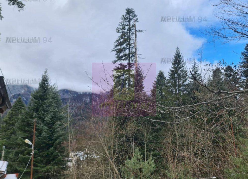 Vilă de vânzare in Sinaia - Zona Cumpătu - 8