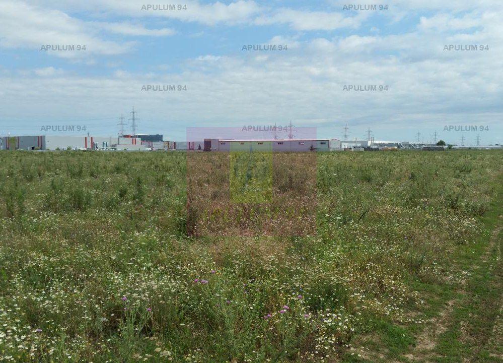 Teren Fundeni-Dobroesti - 4