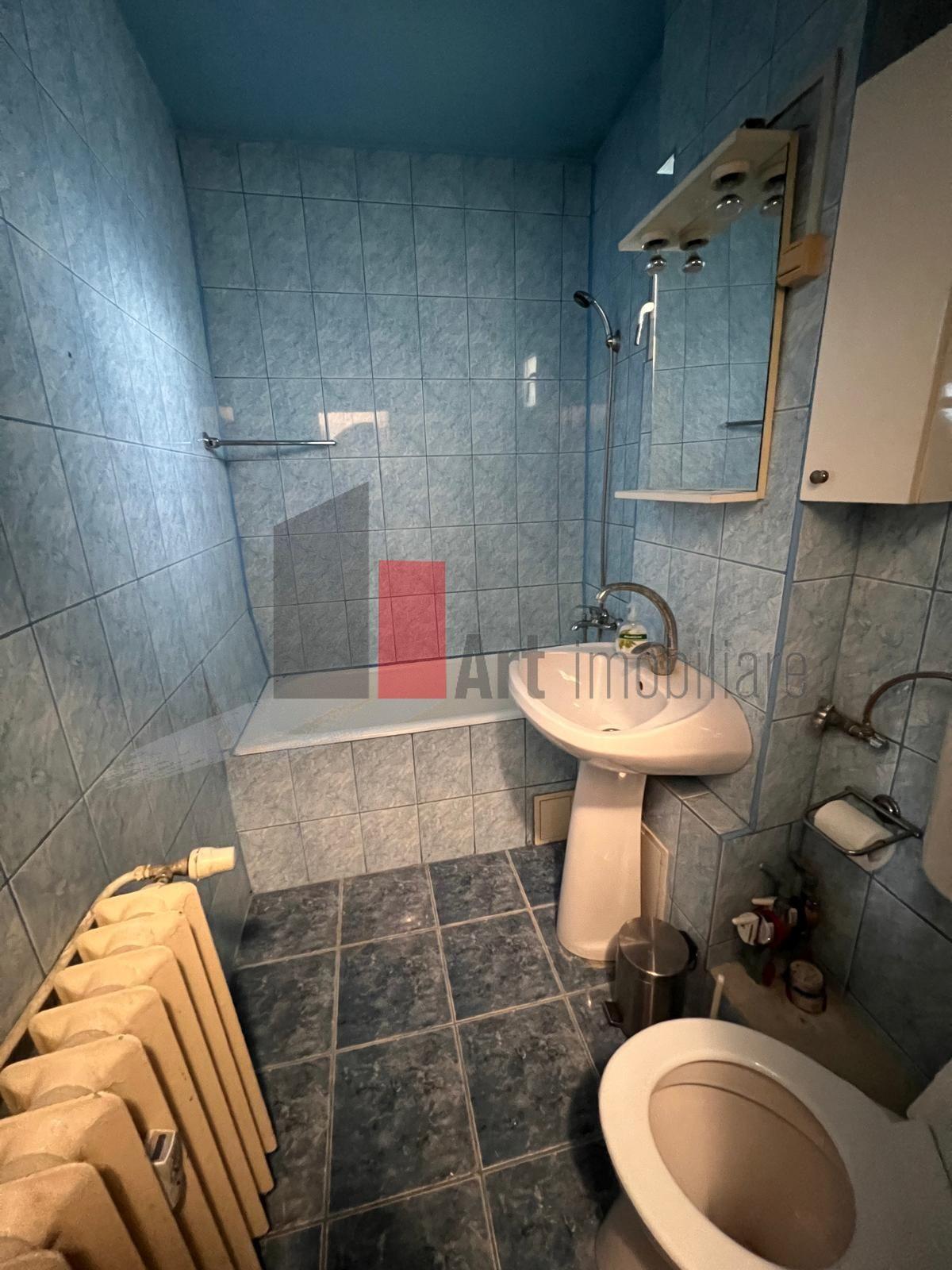 Studio deosebit parc Plumbuita - 12