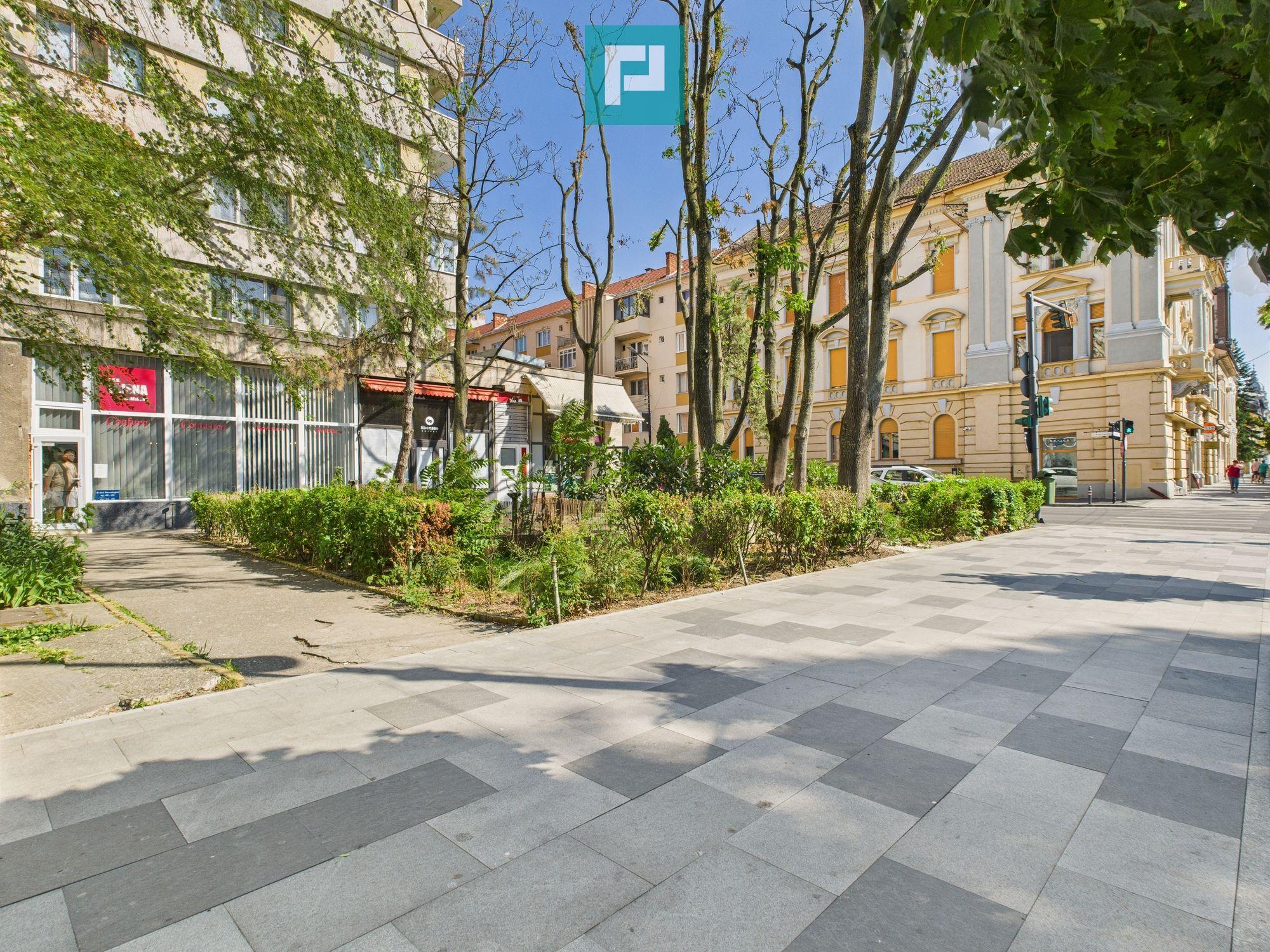 Apartament de închiriat ultracentral Libelula Arad - 16