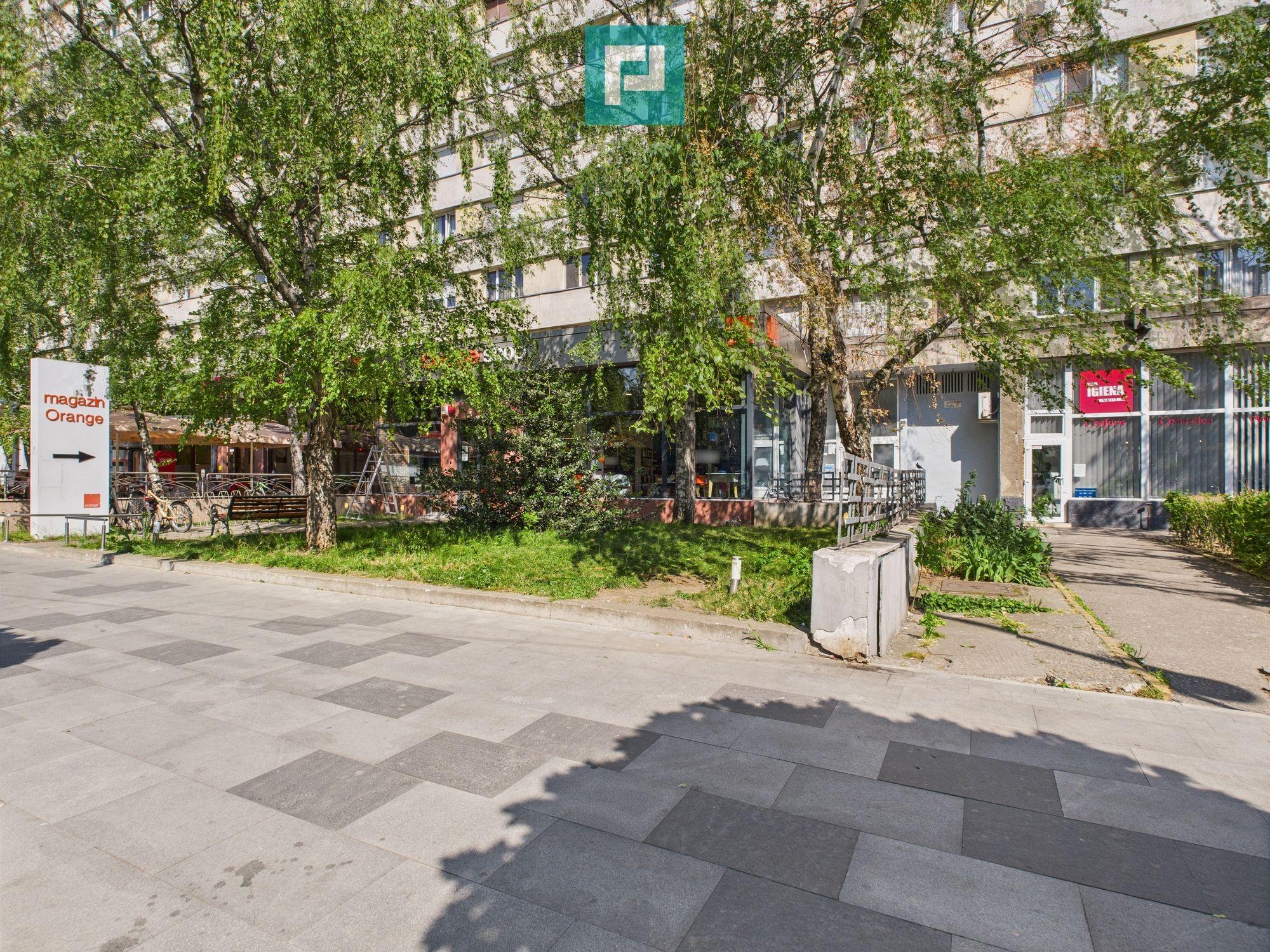 Apartament de închiriat ultracentral Libelula Arad - 15