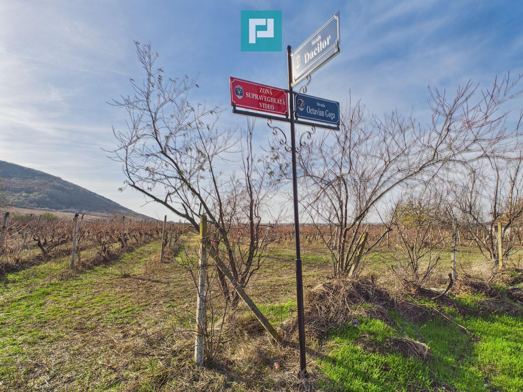 Casuță cu priveliște panoramică spre Cetatea Șiria - 30