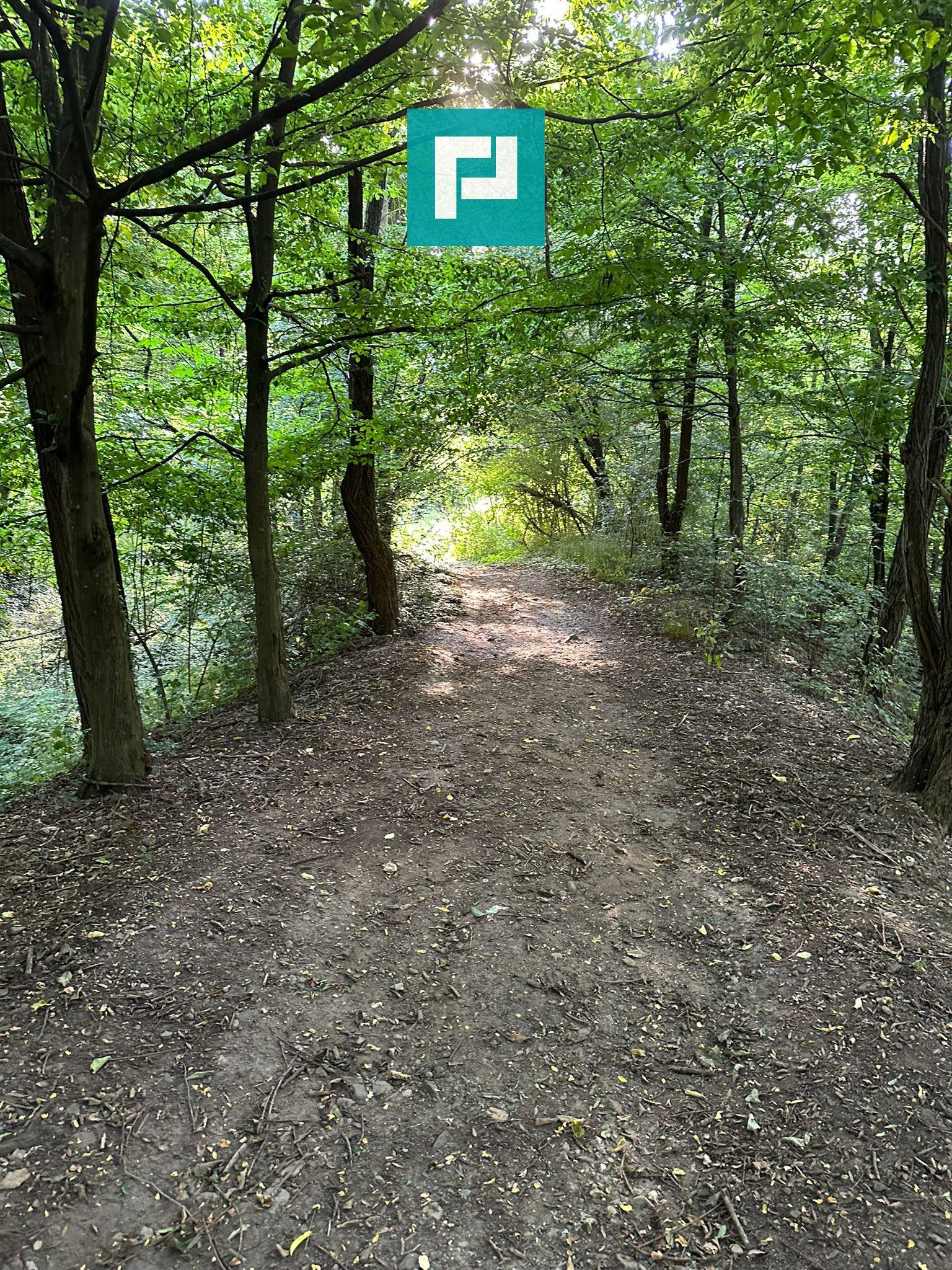 Teren Intravilan, în orașul Sebiș, Arad - 31
